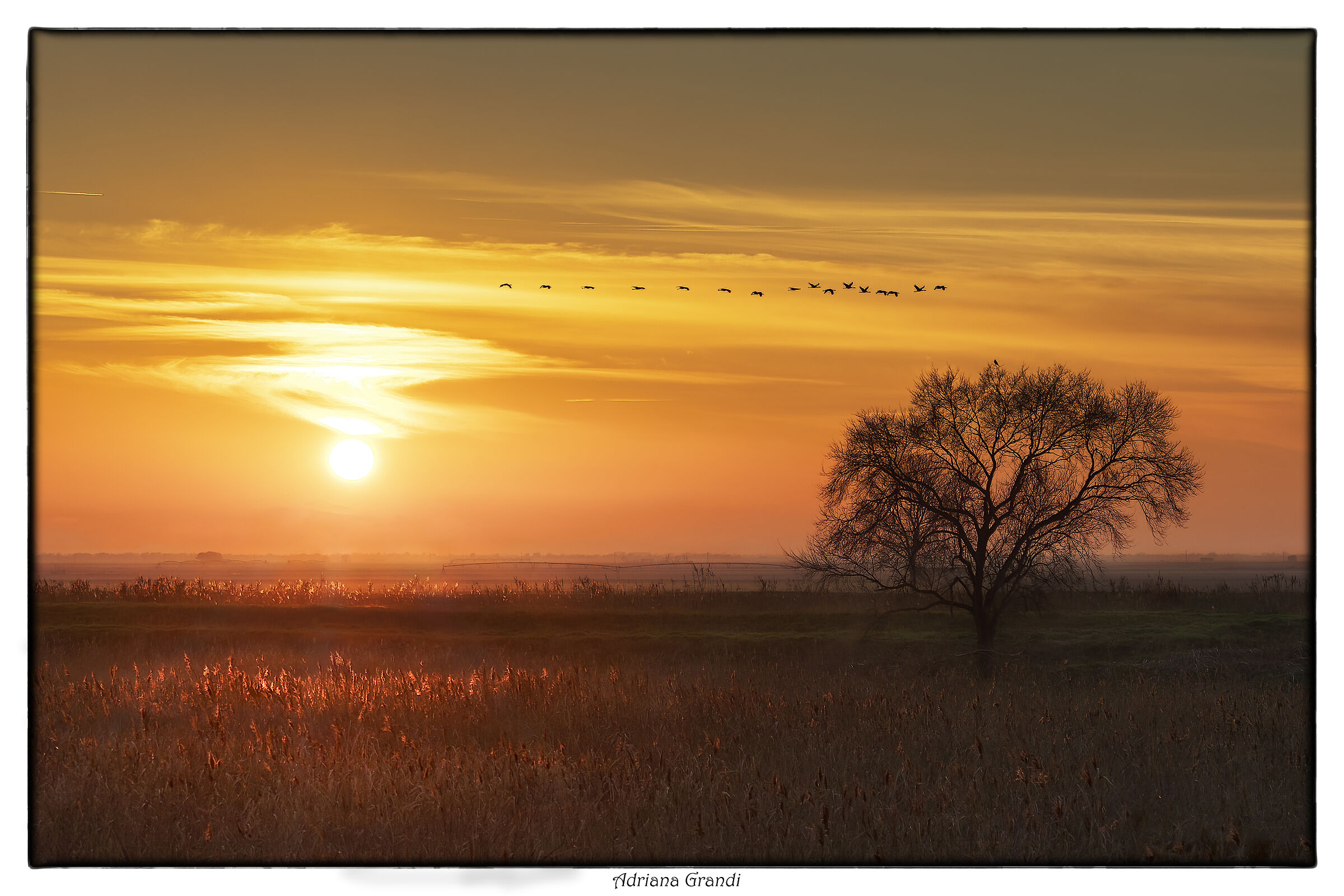 Sunset in the middle