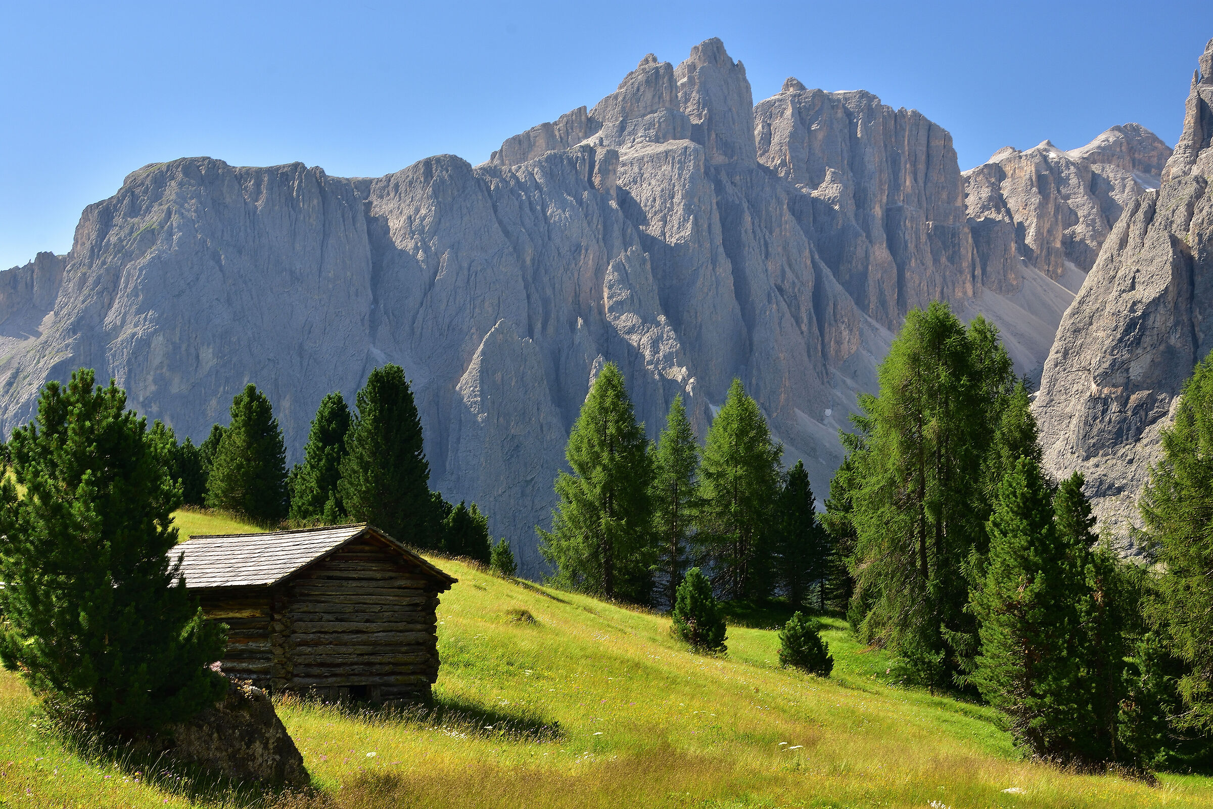 Val del mezdì - Val Badia