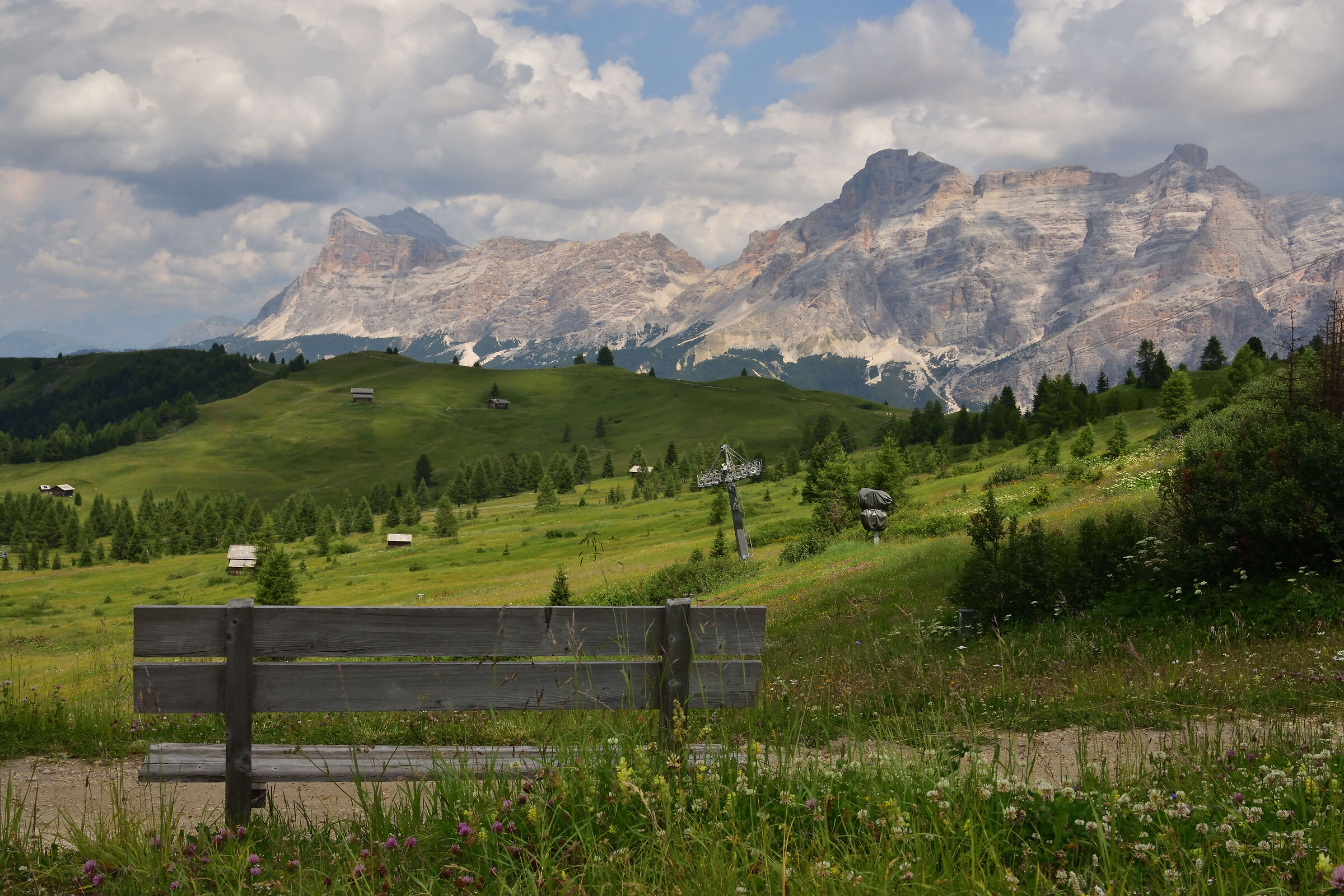 The bench