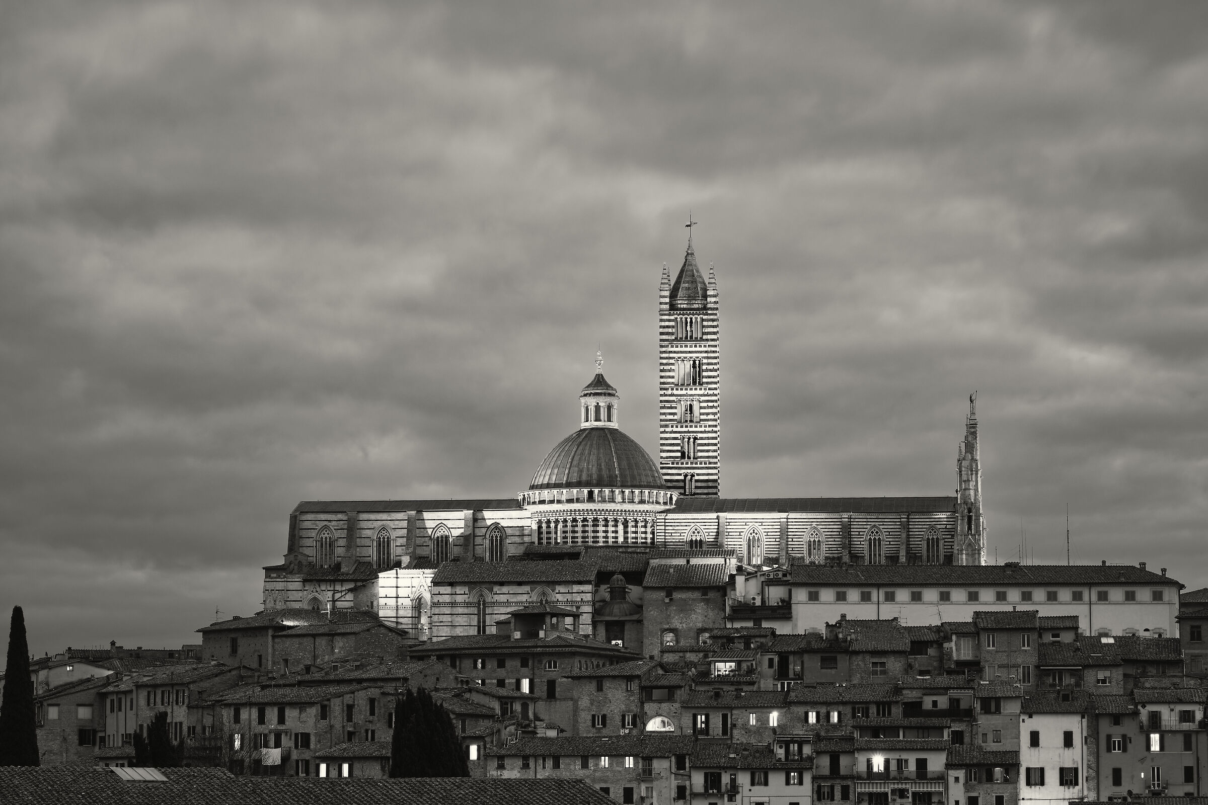 Towards evening in Siena
