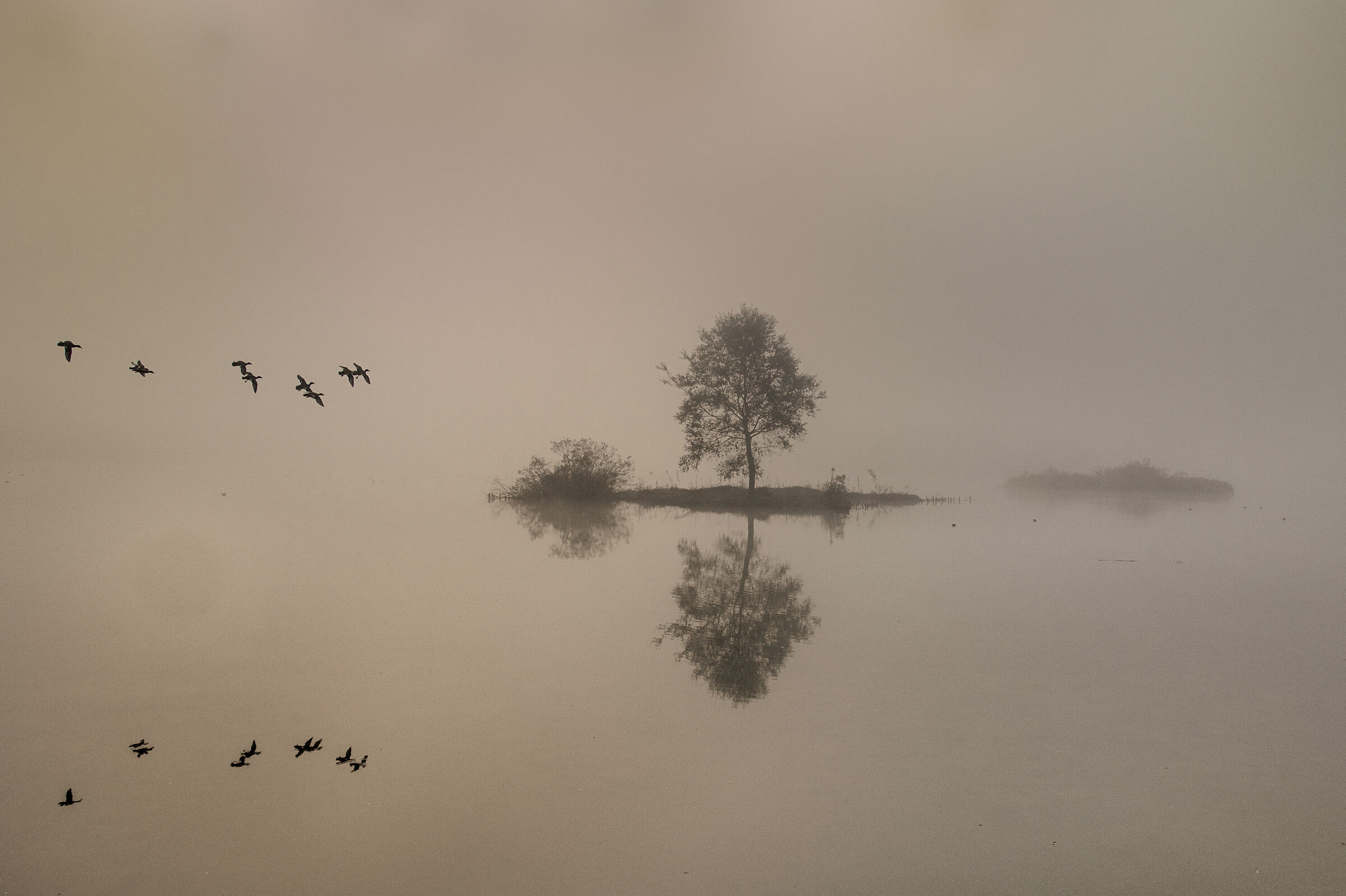 Alba sul lago