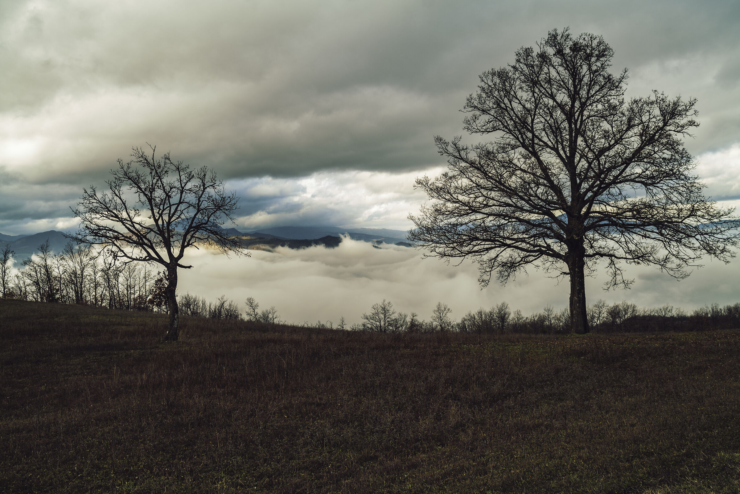 Reggio Emilia Apennines