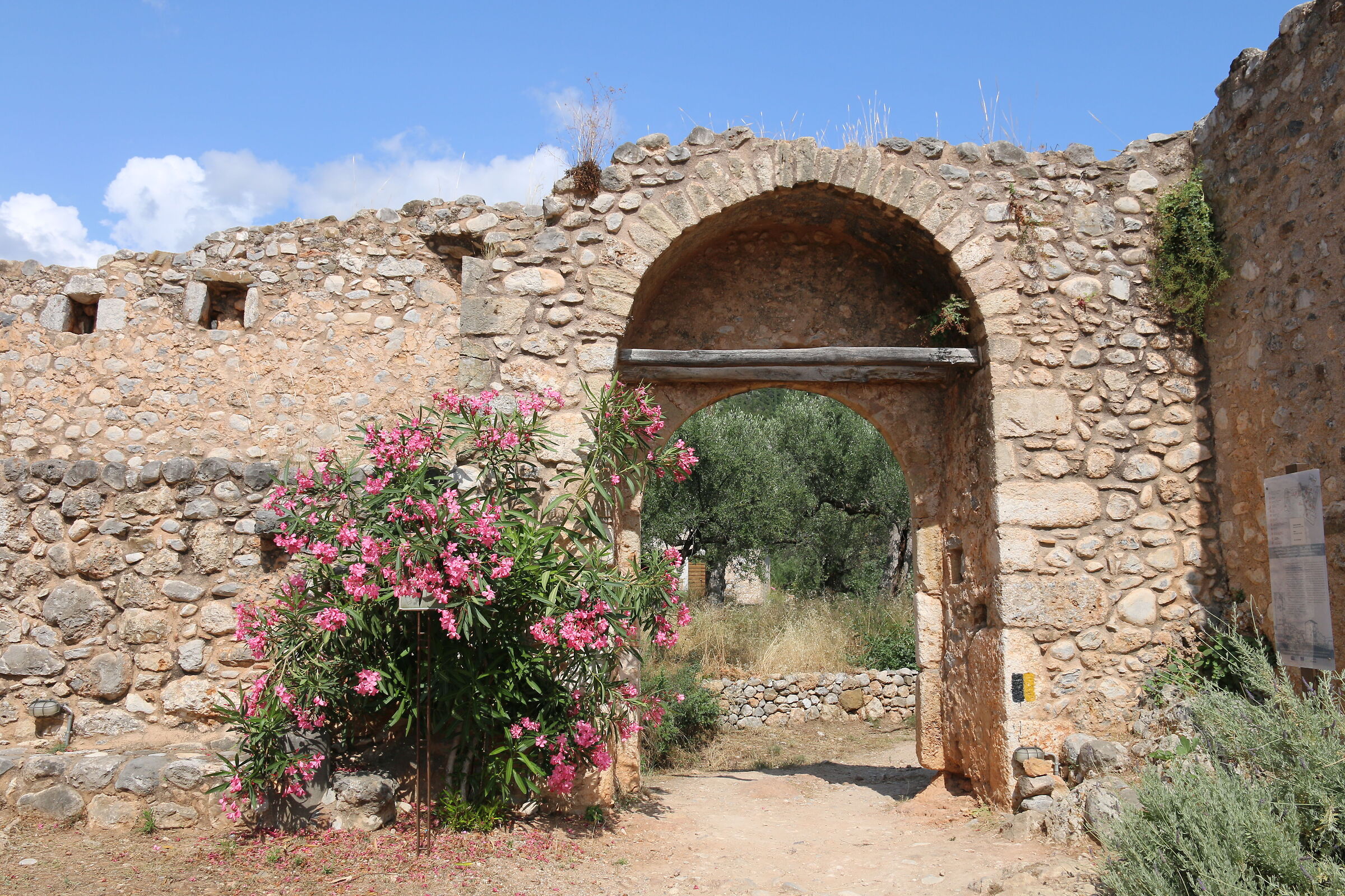 KARDAMILI PELEPONNESE