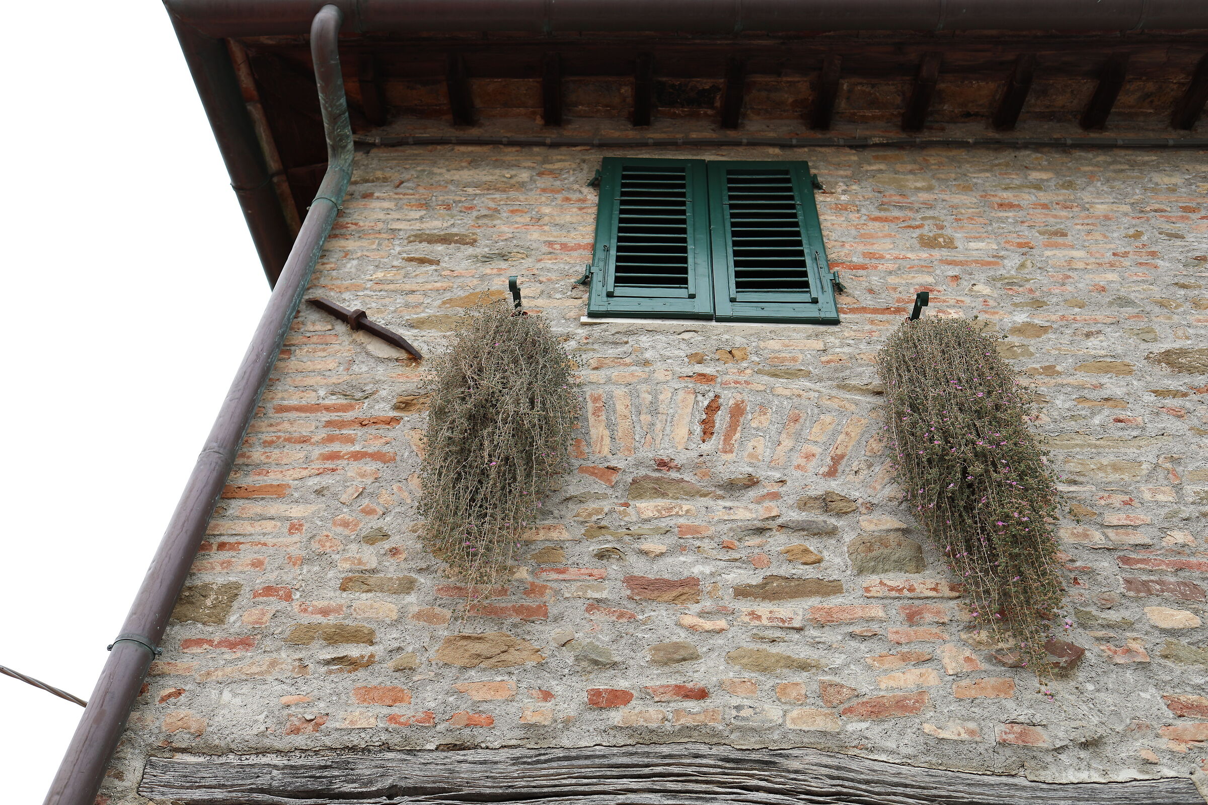 Canon 5 D IV, 35 F.2 IS USM