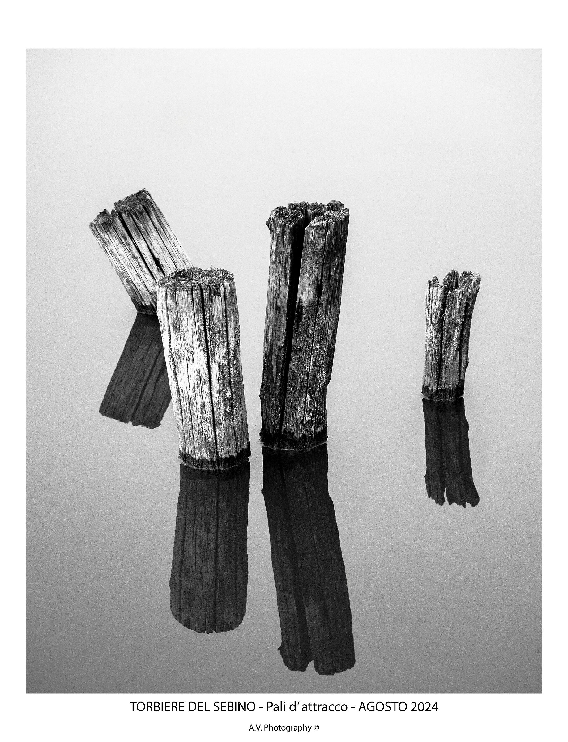 Untitled Photo
