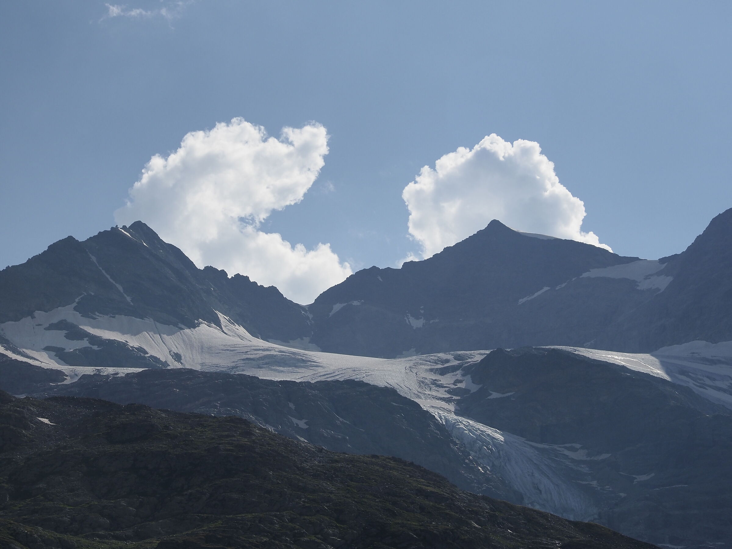 Bernina laughs.