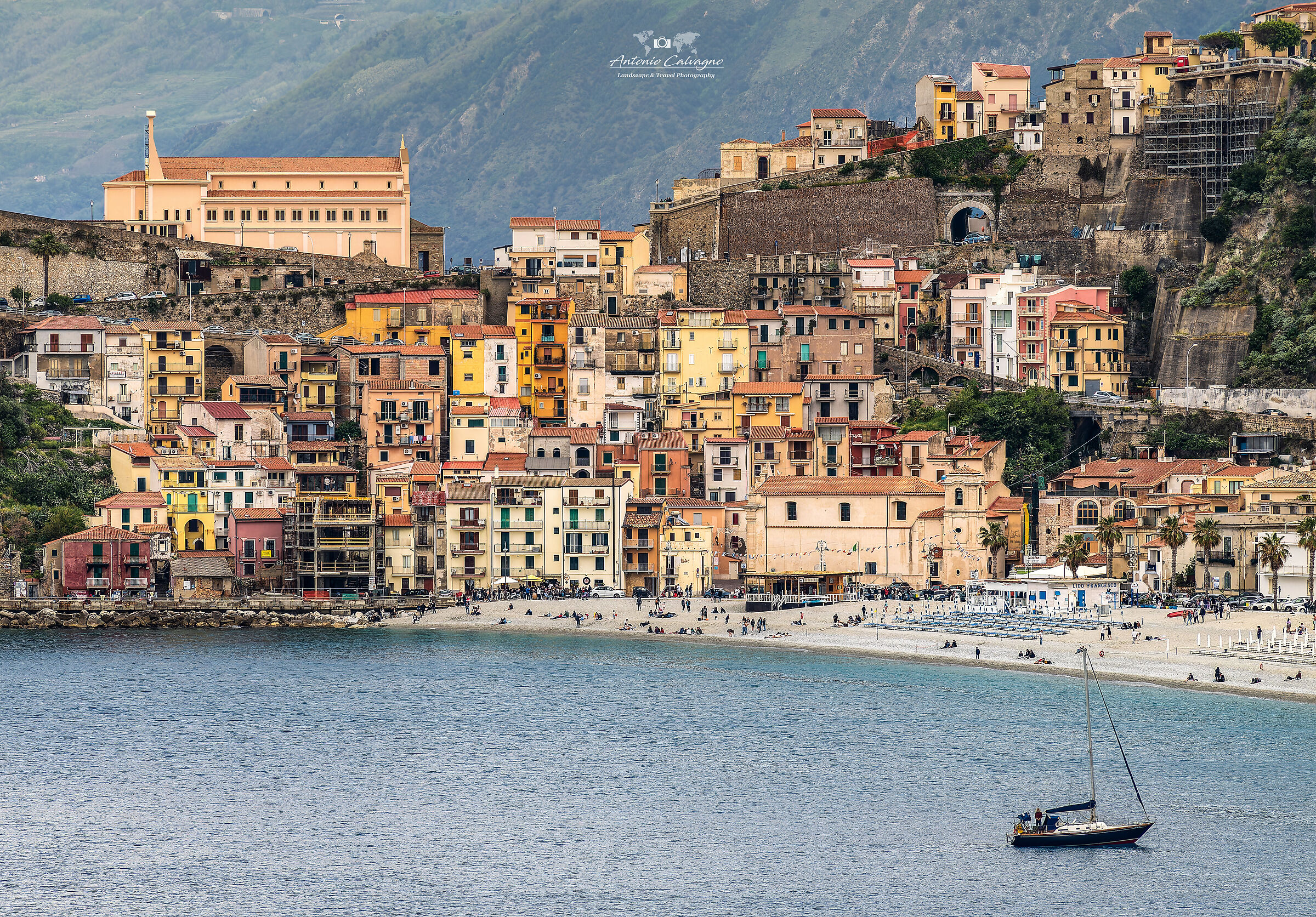 Scilla