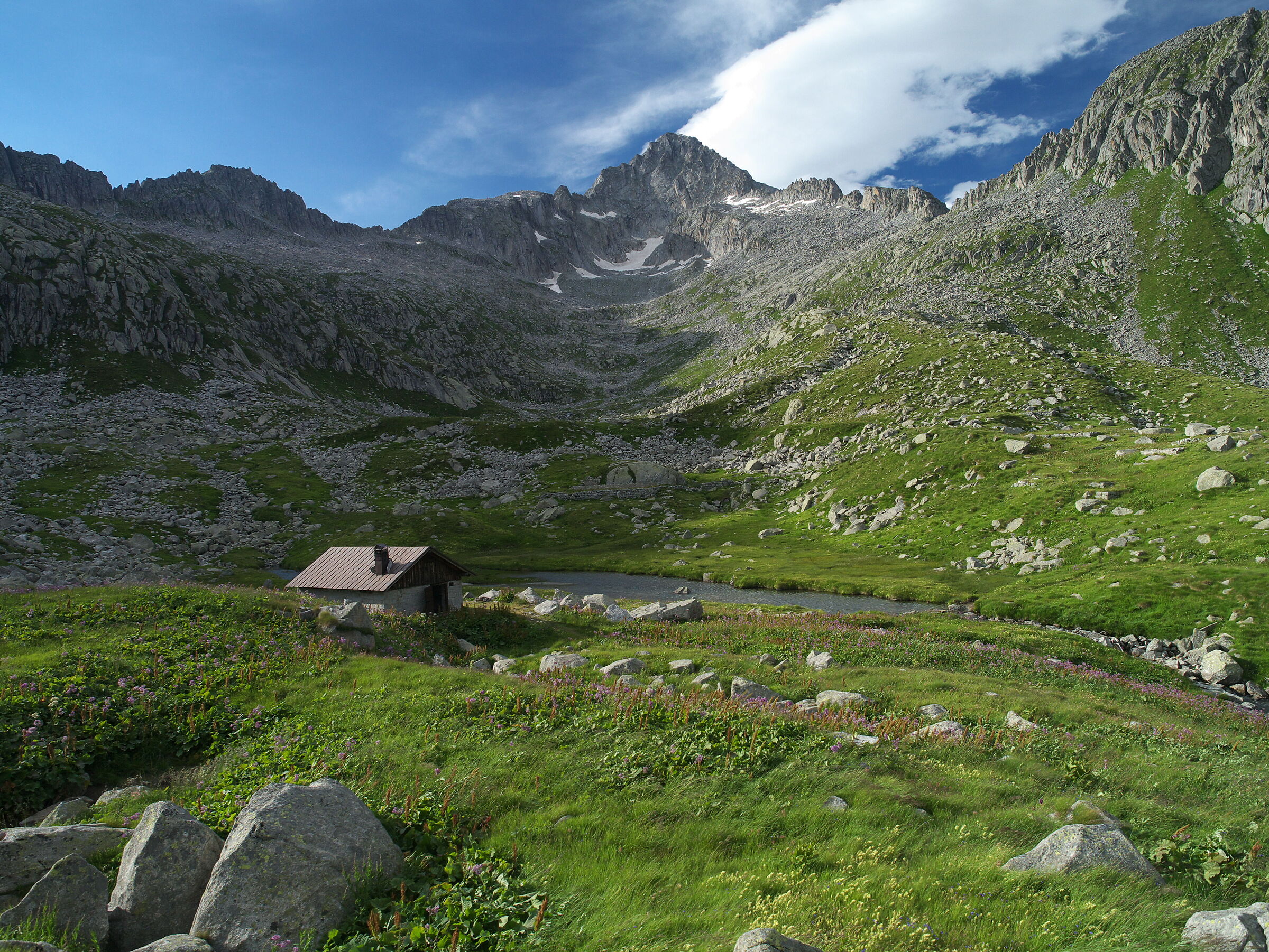 Biv. Dosson, in the background the Carè Alto