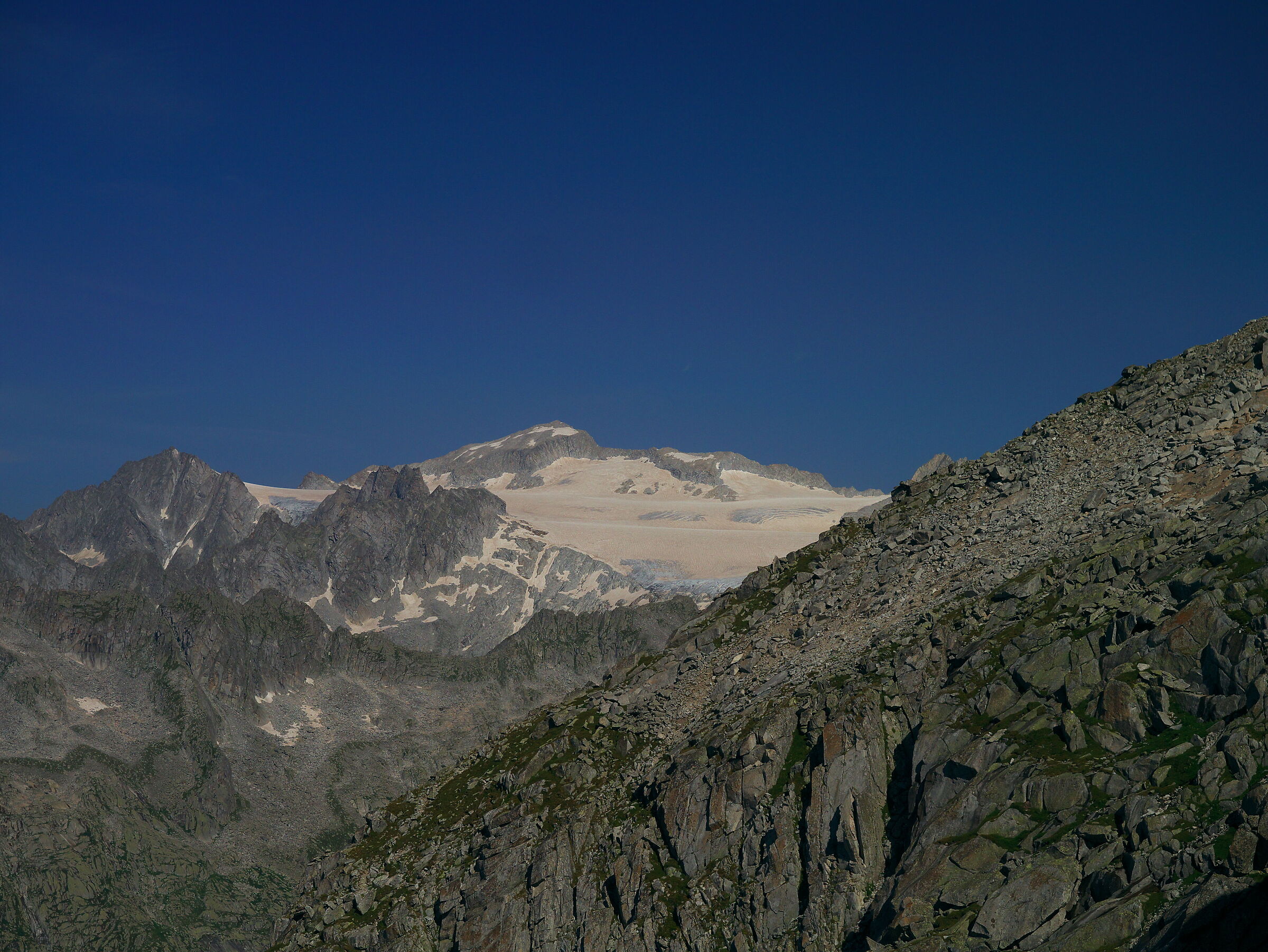 Pian di neve (Adamello) from biv. Rye (3,050 m.)