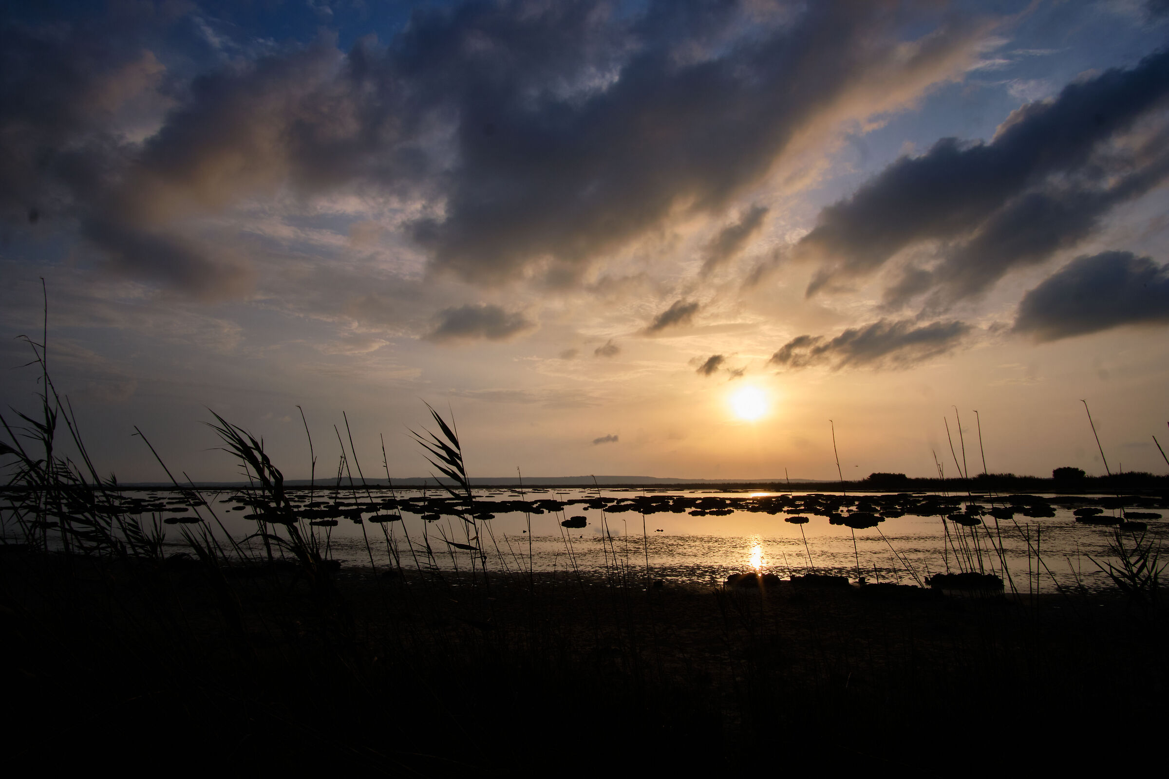 Sunset on the pond