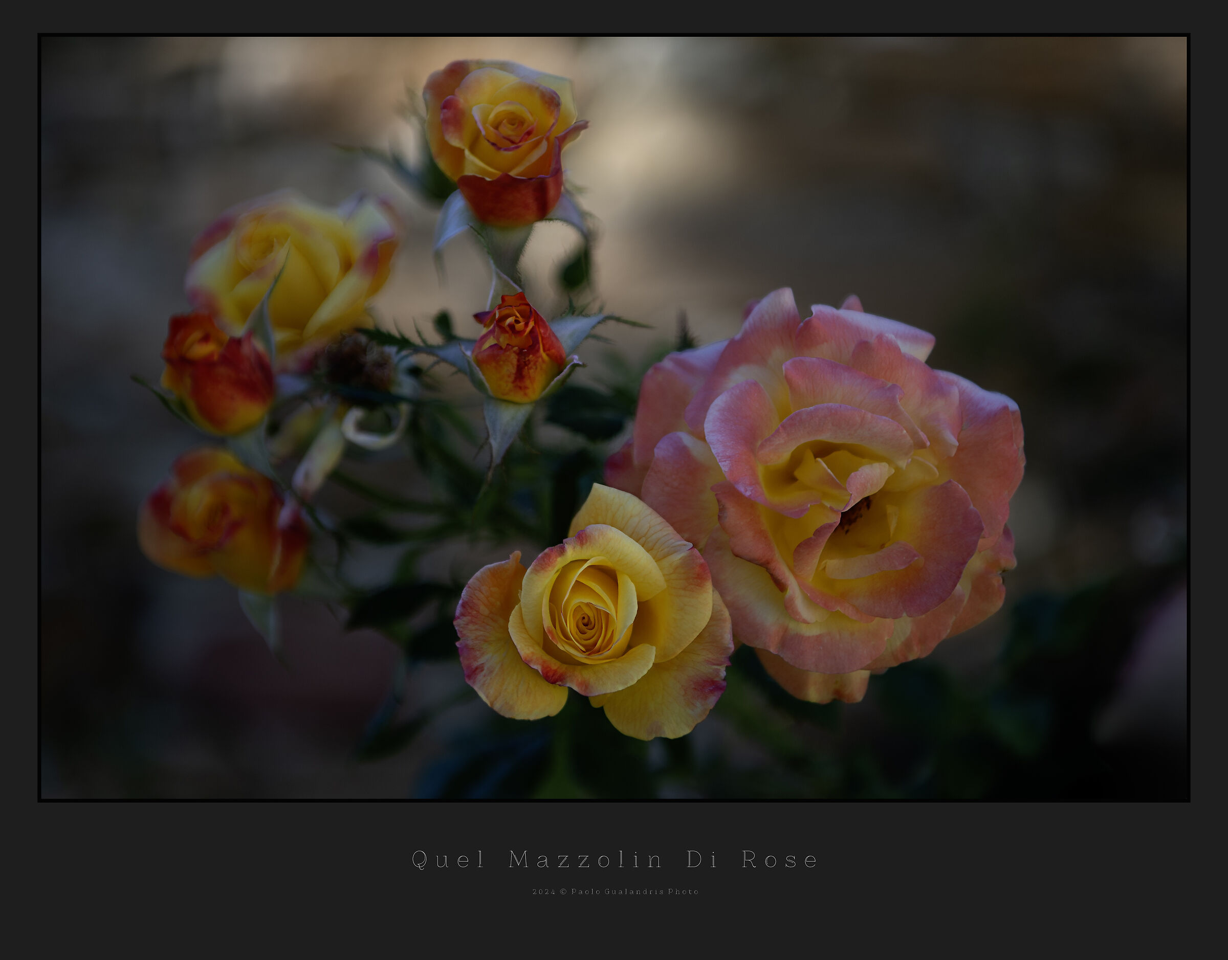 Quel Mazzolin Di Rose