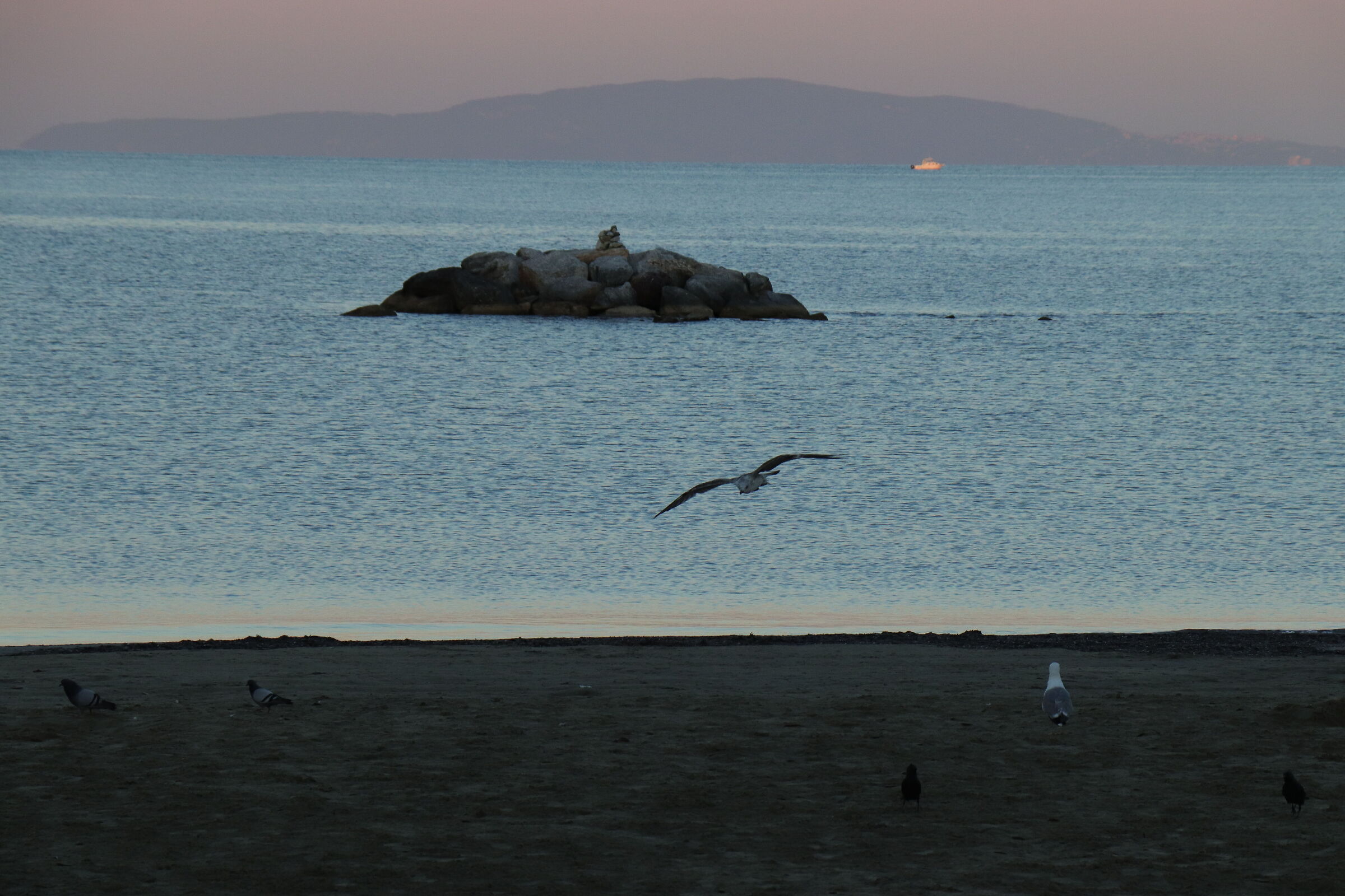 Alba, Gulf of Follonica.