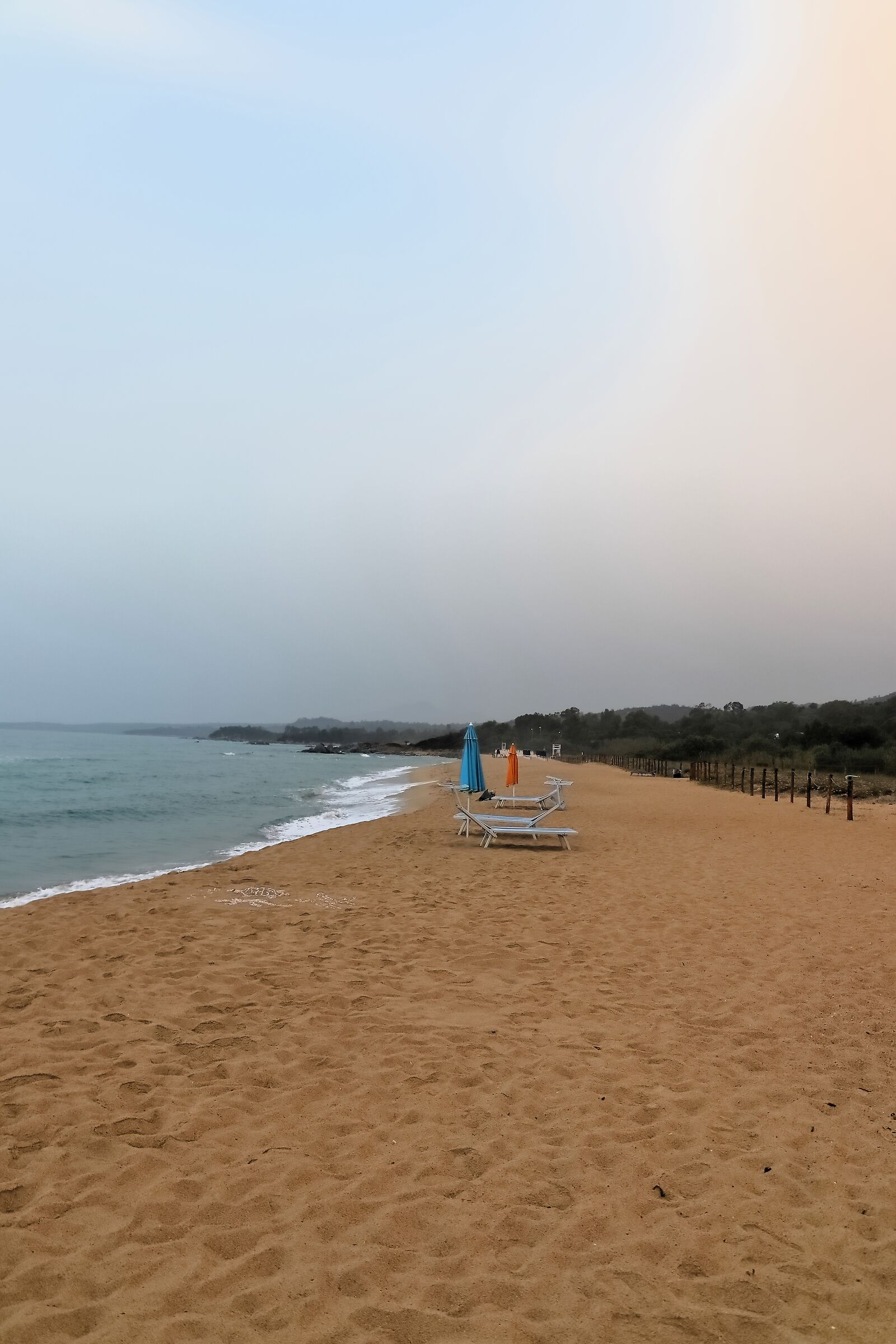 Spiaggia 20-06-2024 - 0715