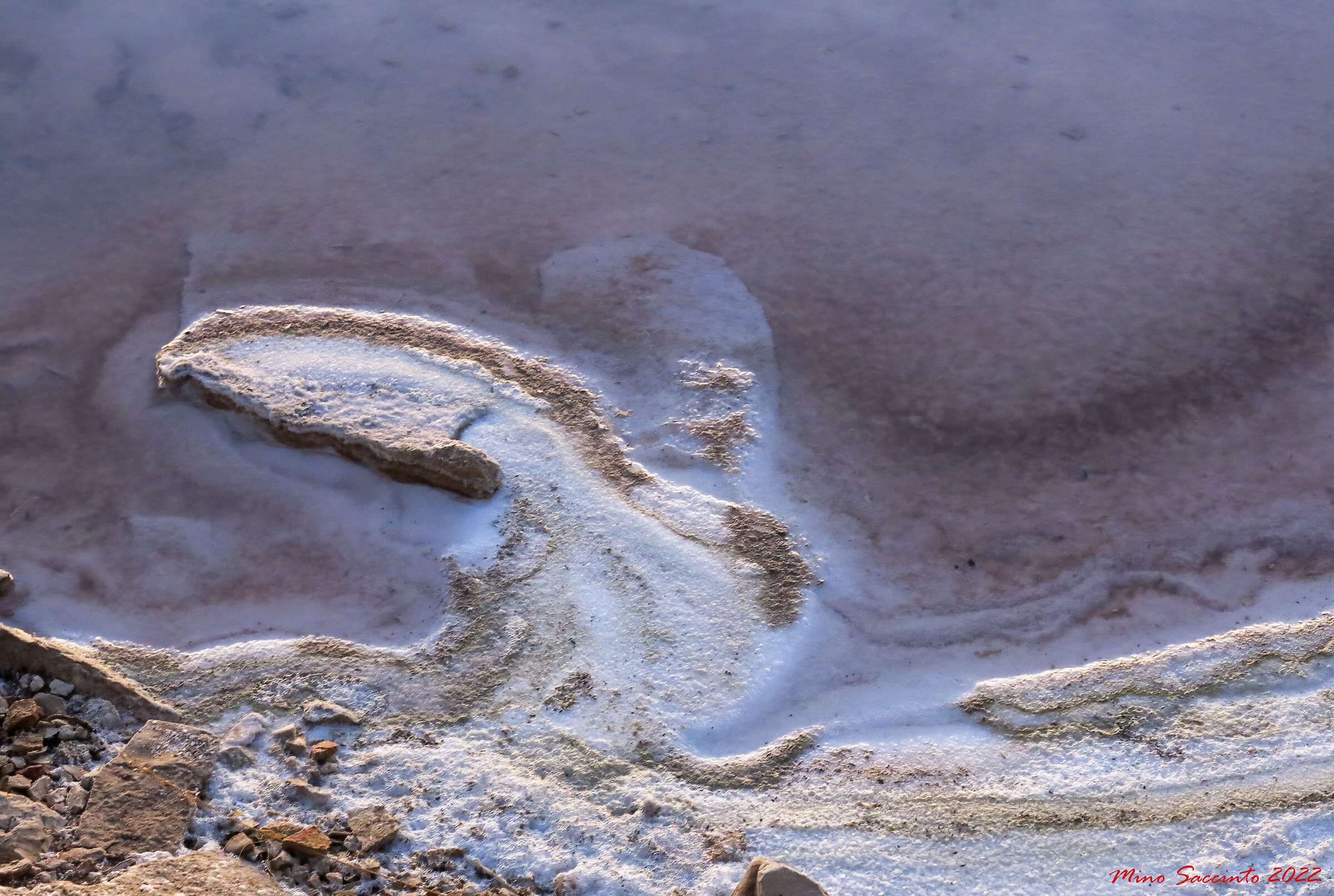 Giochi di Sale 2 (Margherita di Savoia)