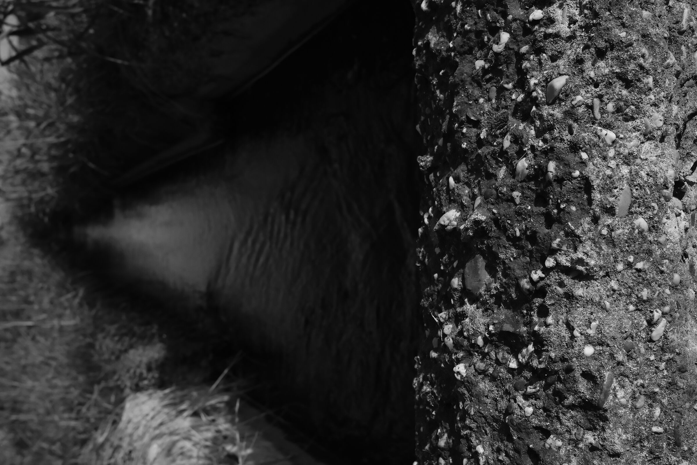 Chiusa di irrigazione con guida in cemento