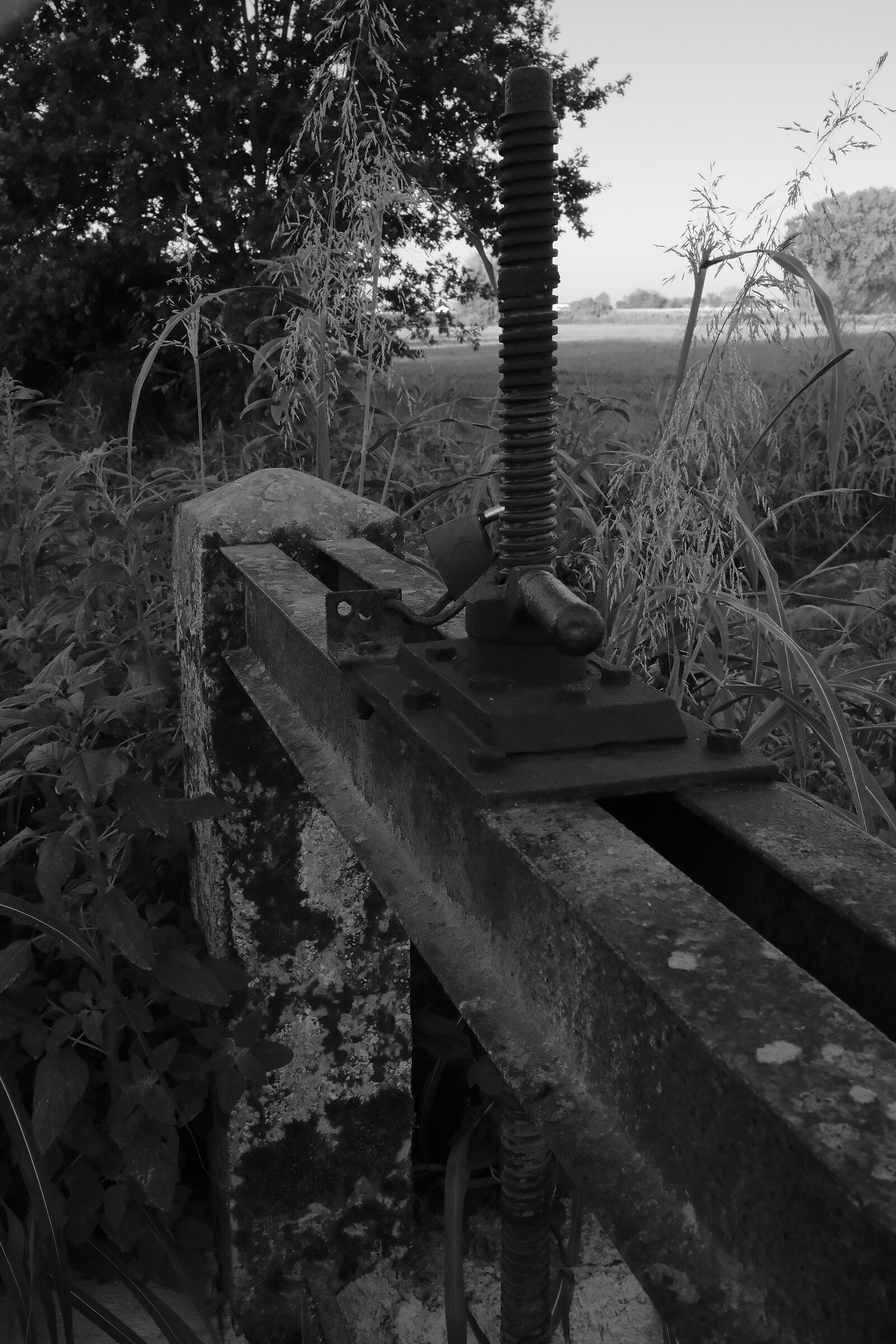 Chiusa di irrigazione con paratia in ferro