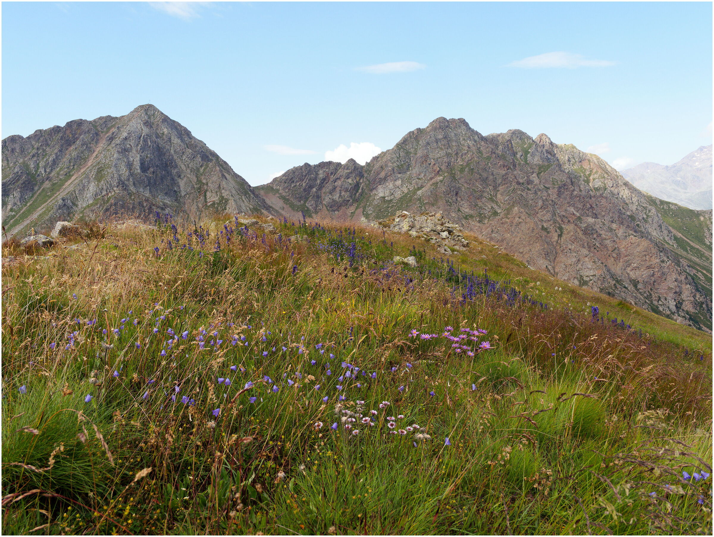 panorama da cima Lavazze
