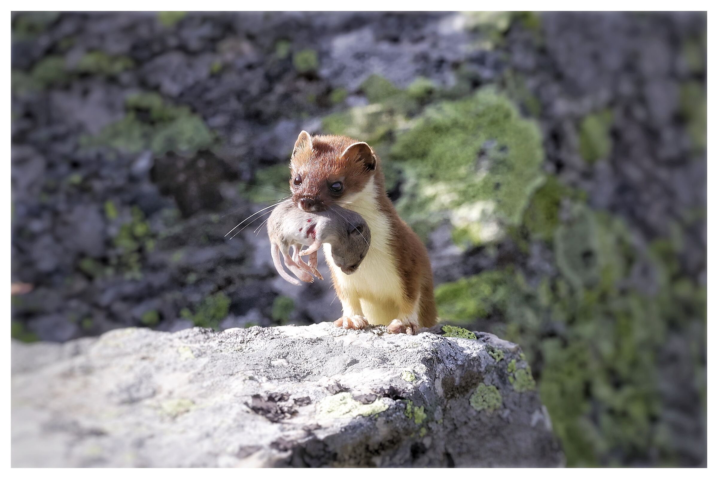 In armonia con la natura