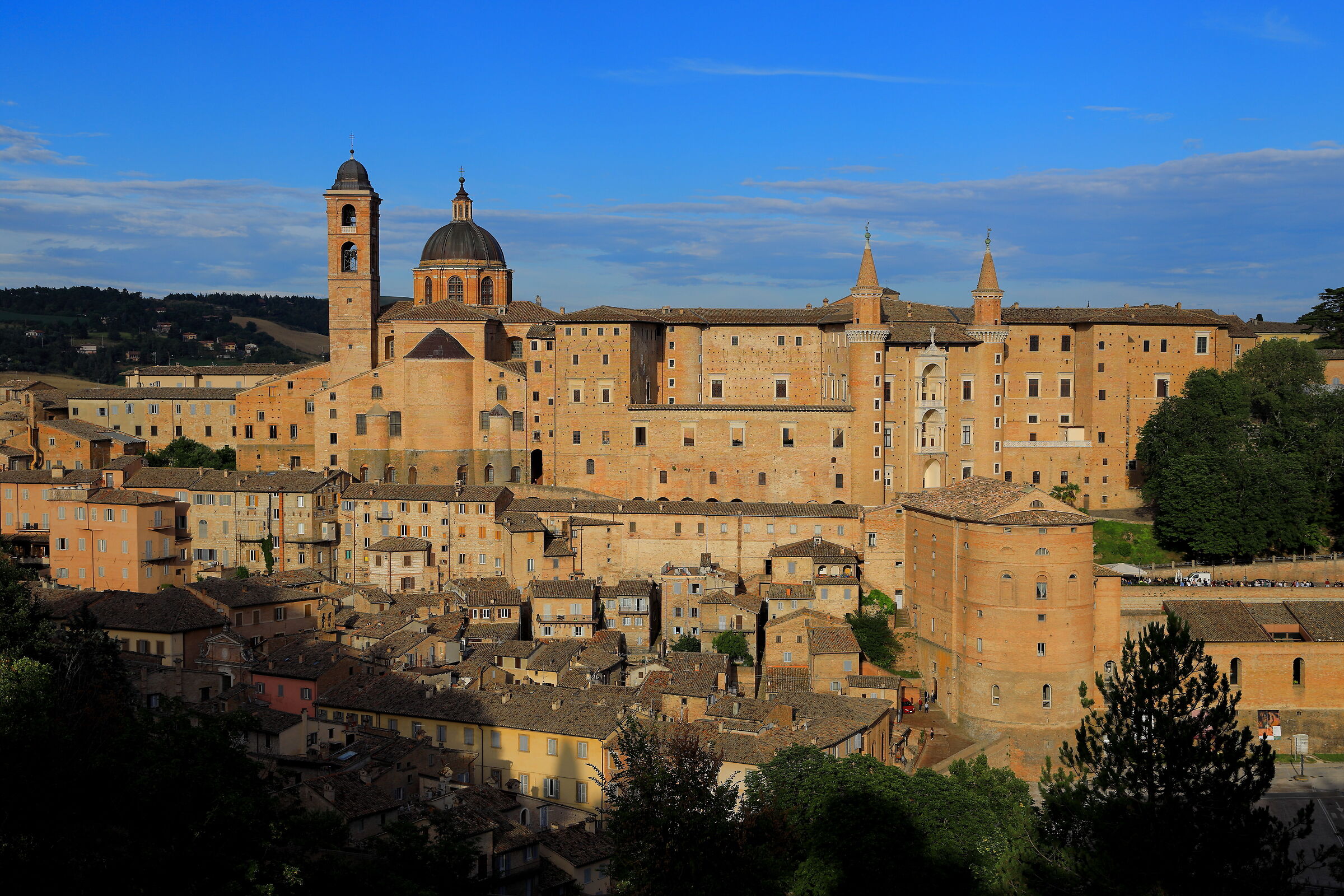 The Ducal Palace of Urbino