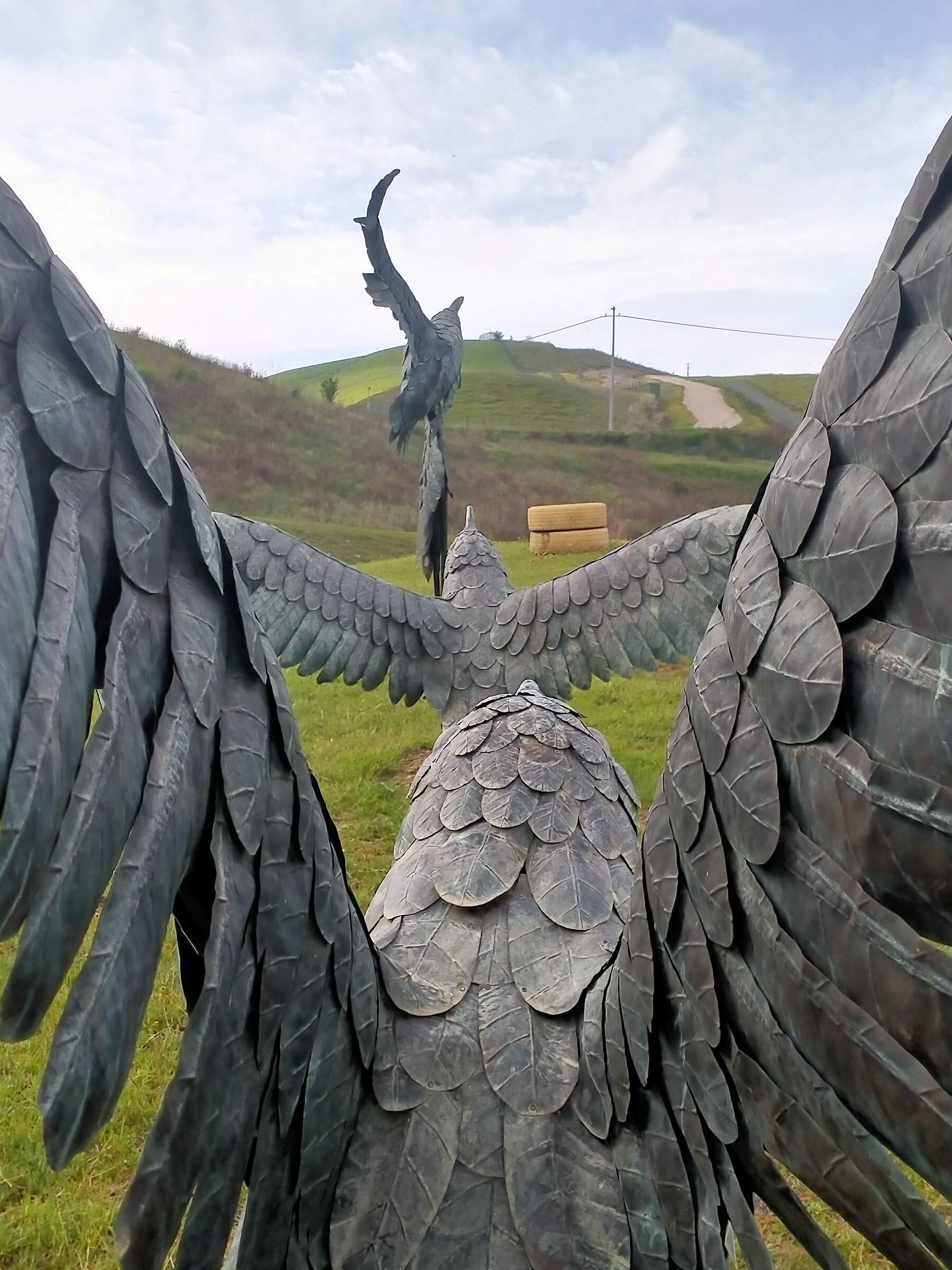 Crows in the landfill