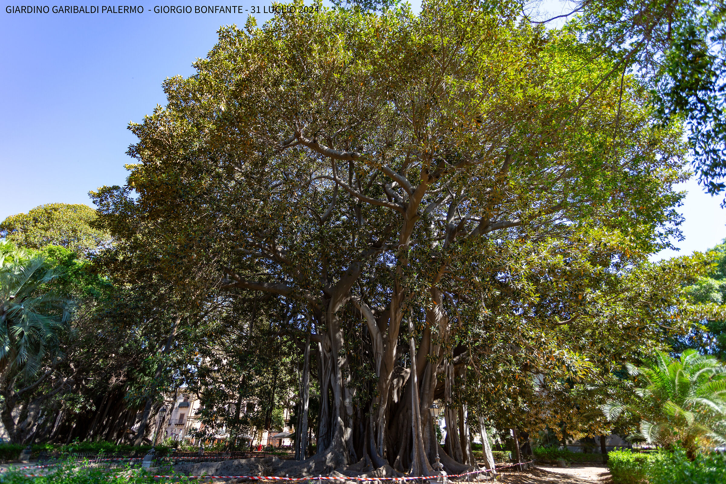 giardino garibaldi palermo sicilia - 31 luglio
