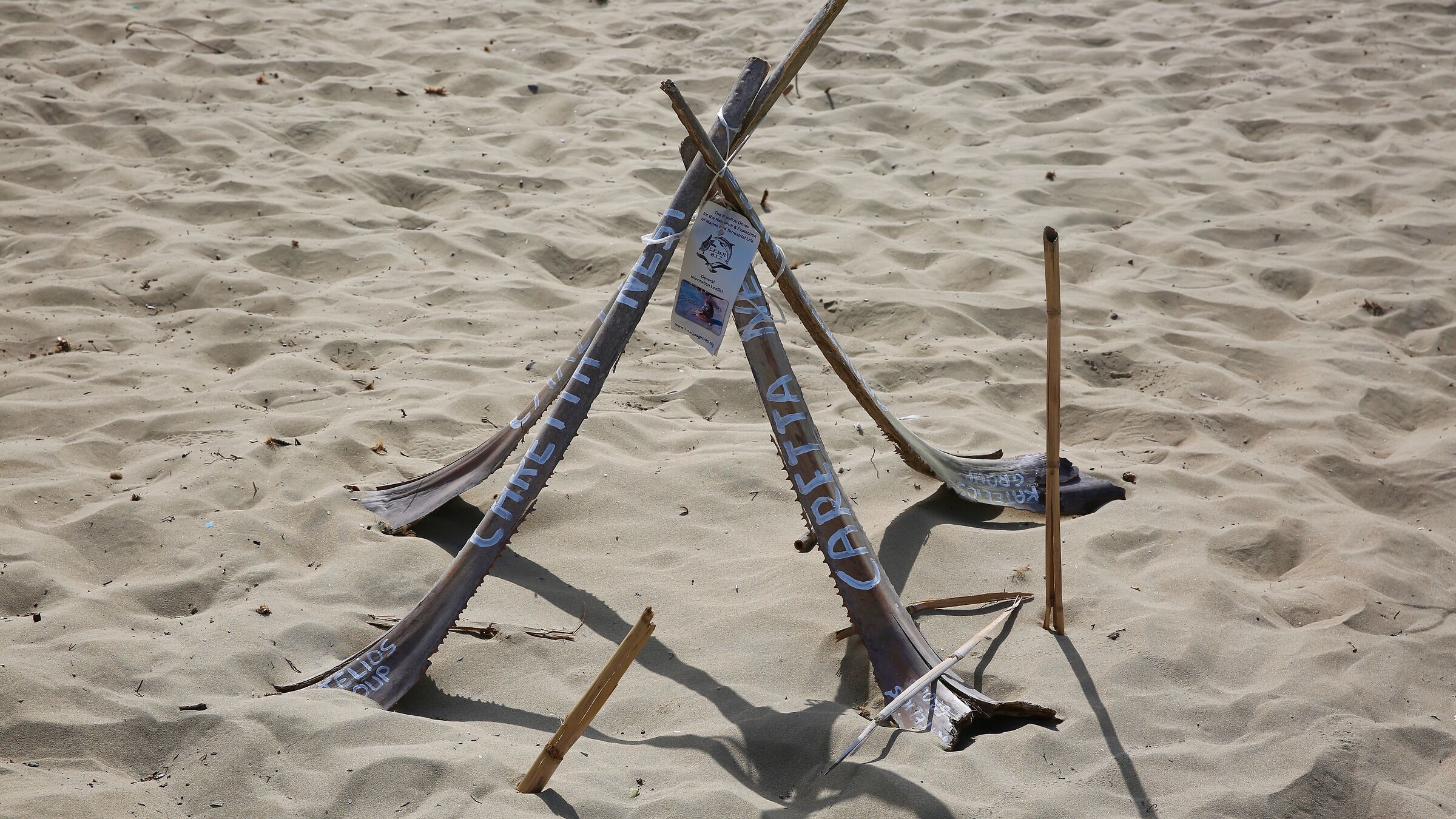 Kefalonia, nest of the Caretta sea turtles