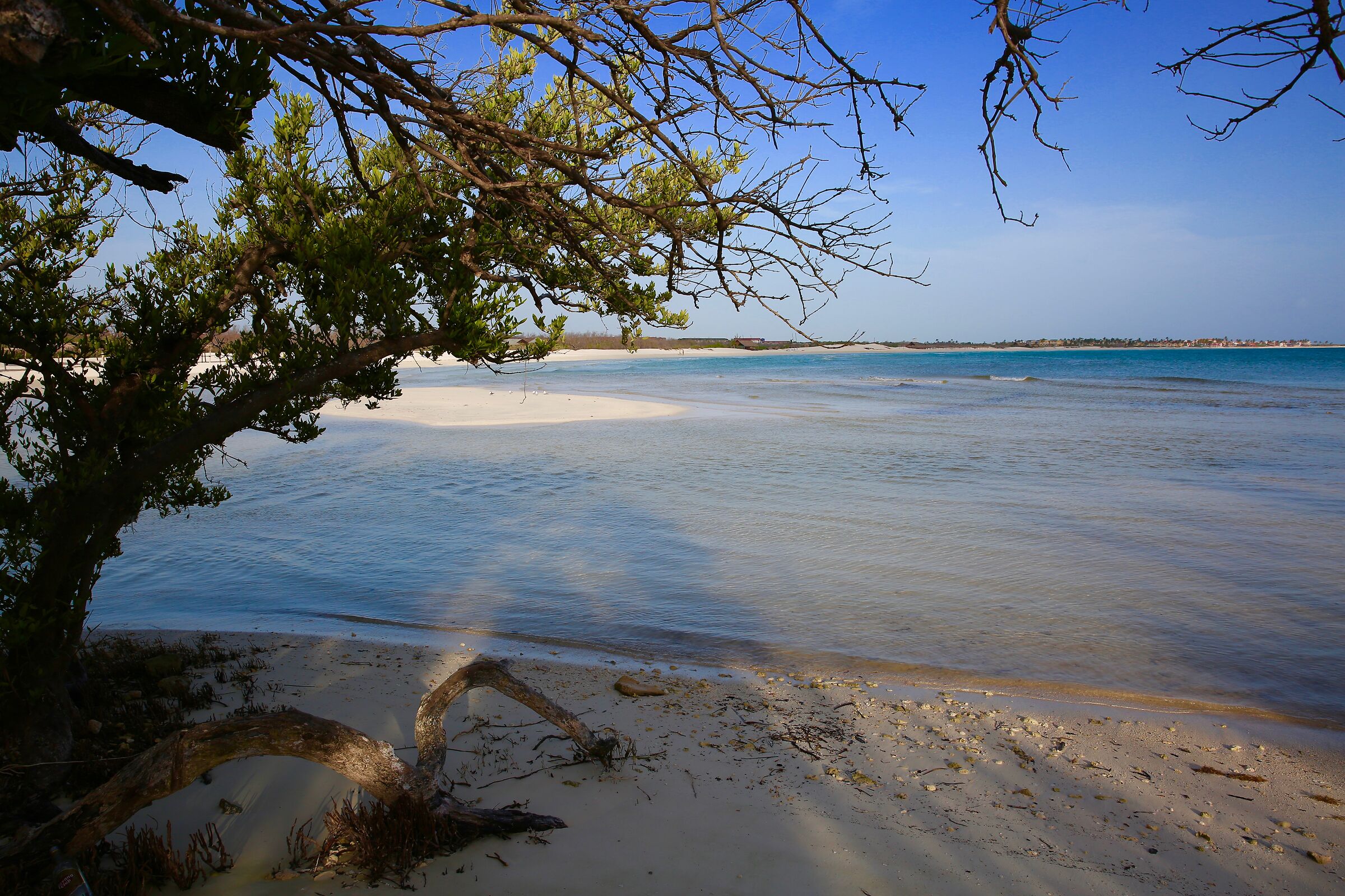 Cayo Coco, Playa Larga