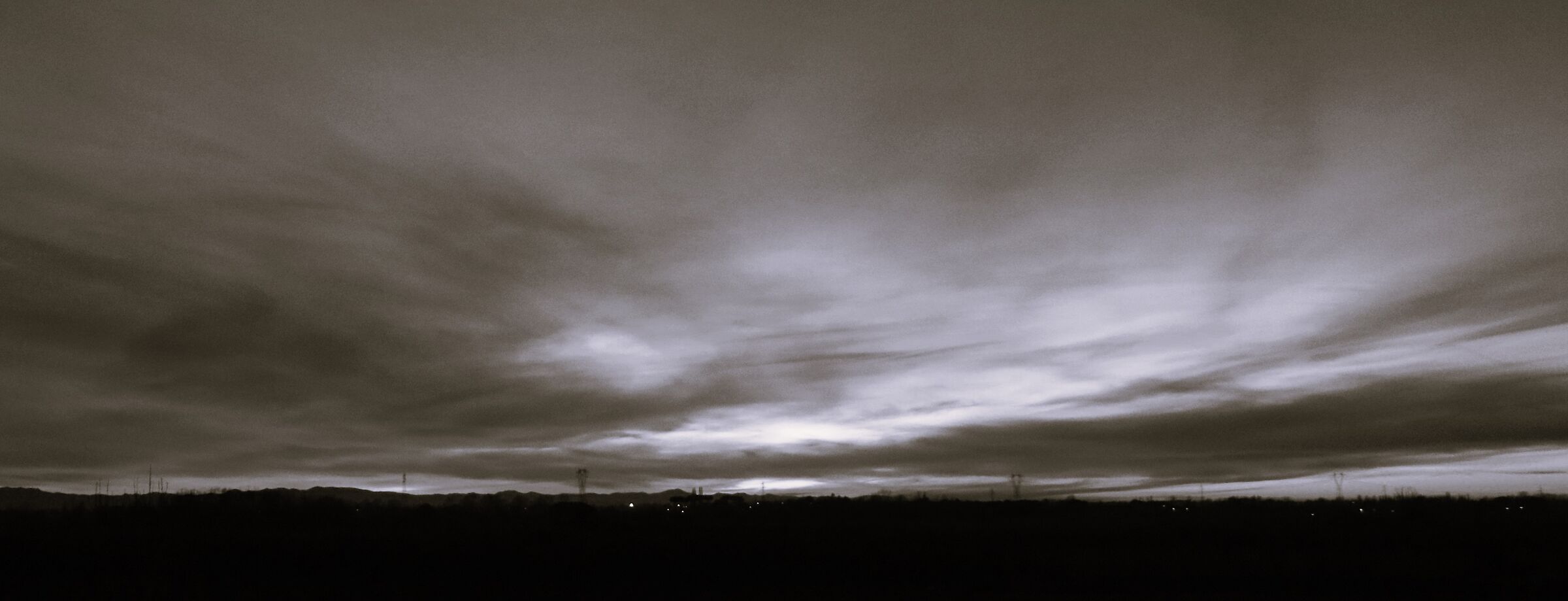 B/W shelled sepia