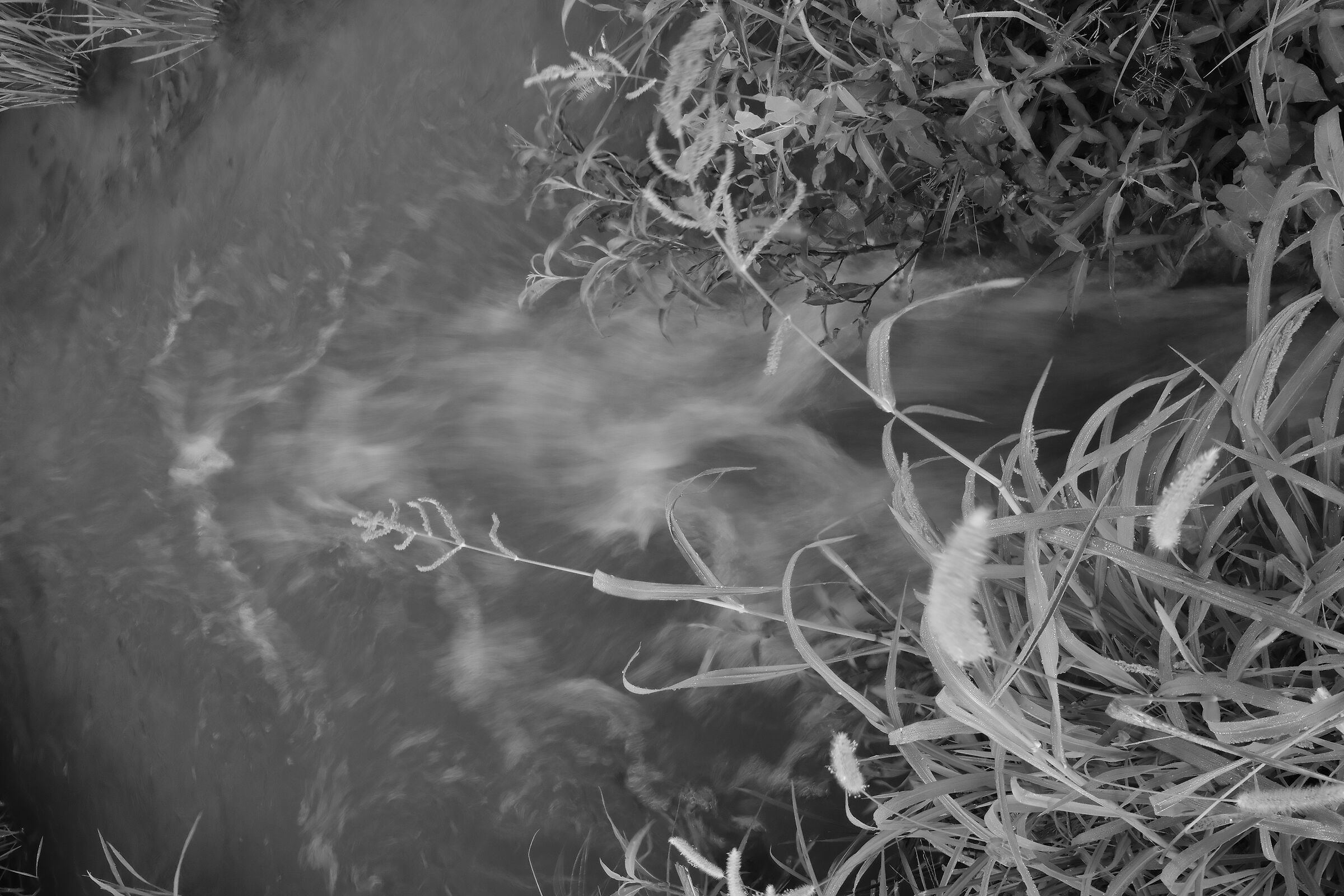 Canale di irrigazione 3