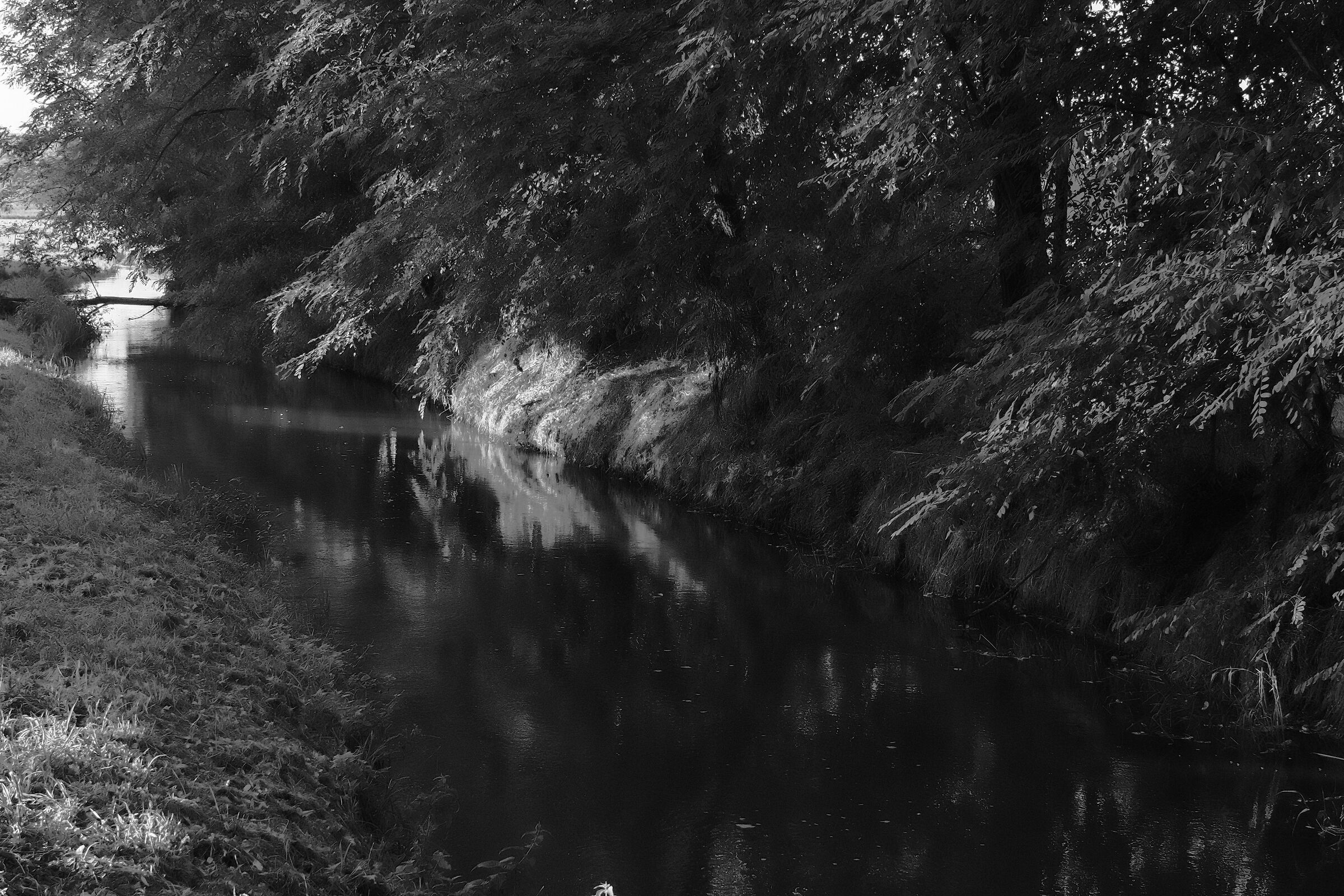 Canale di irrigazione 5