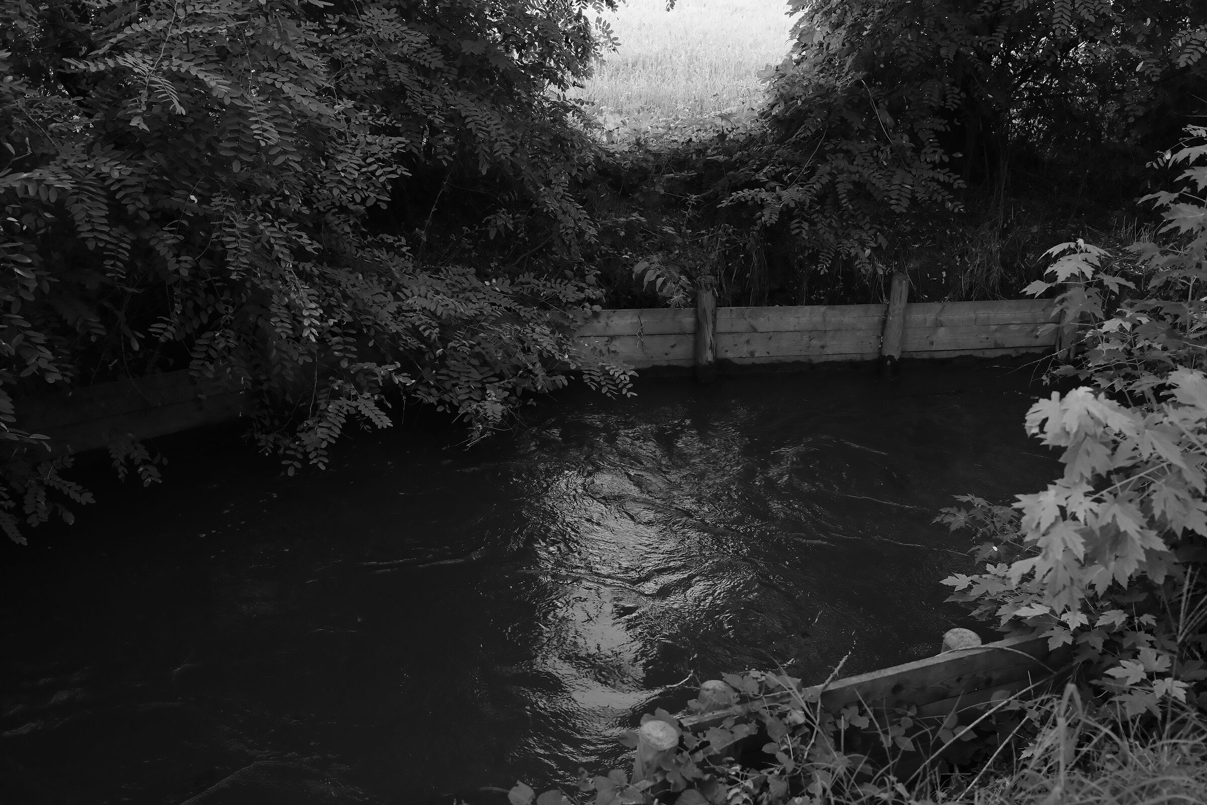 Canale di irrigazione 6