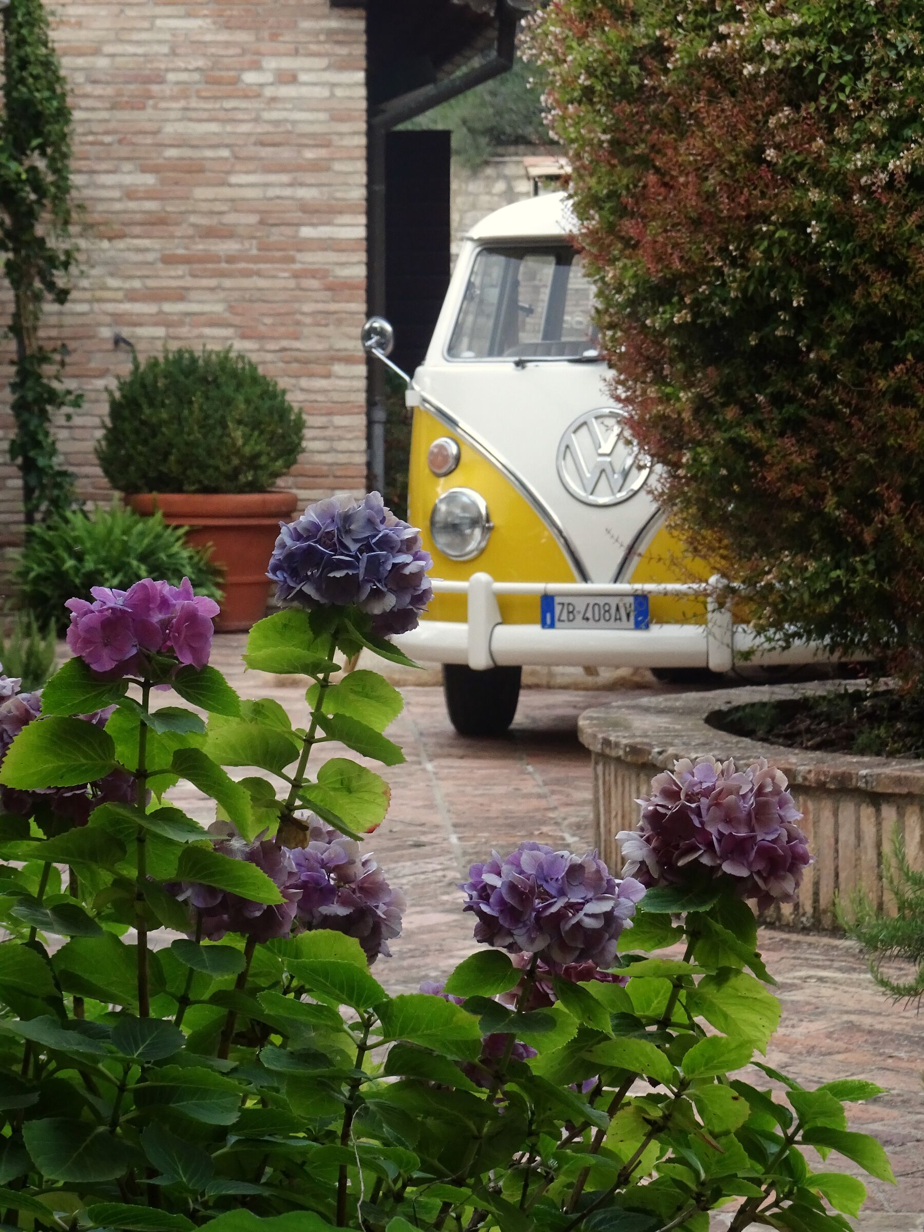 Il giardino delle meraviglie