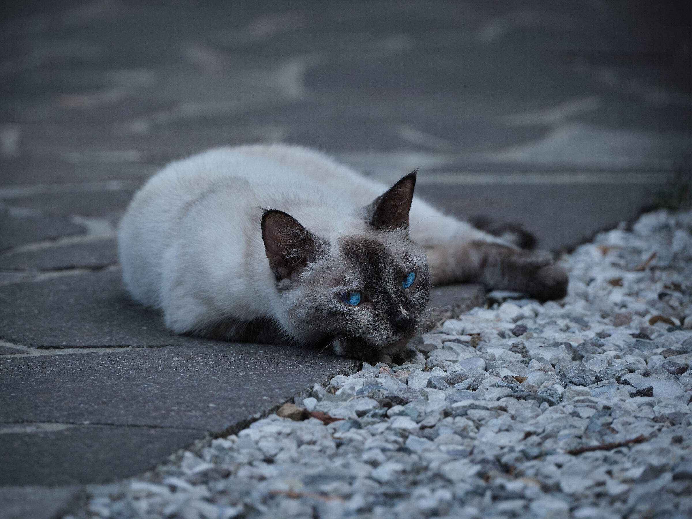 Untitled Photo