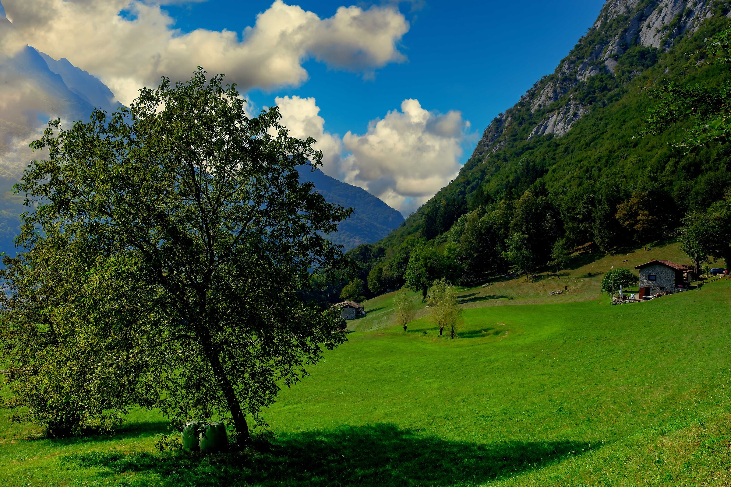 Serene is