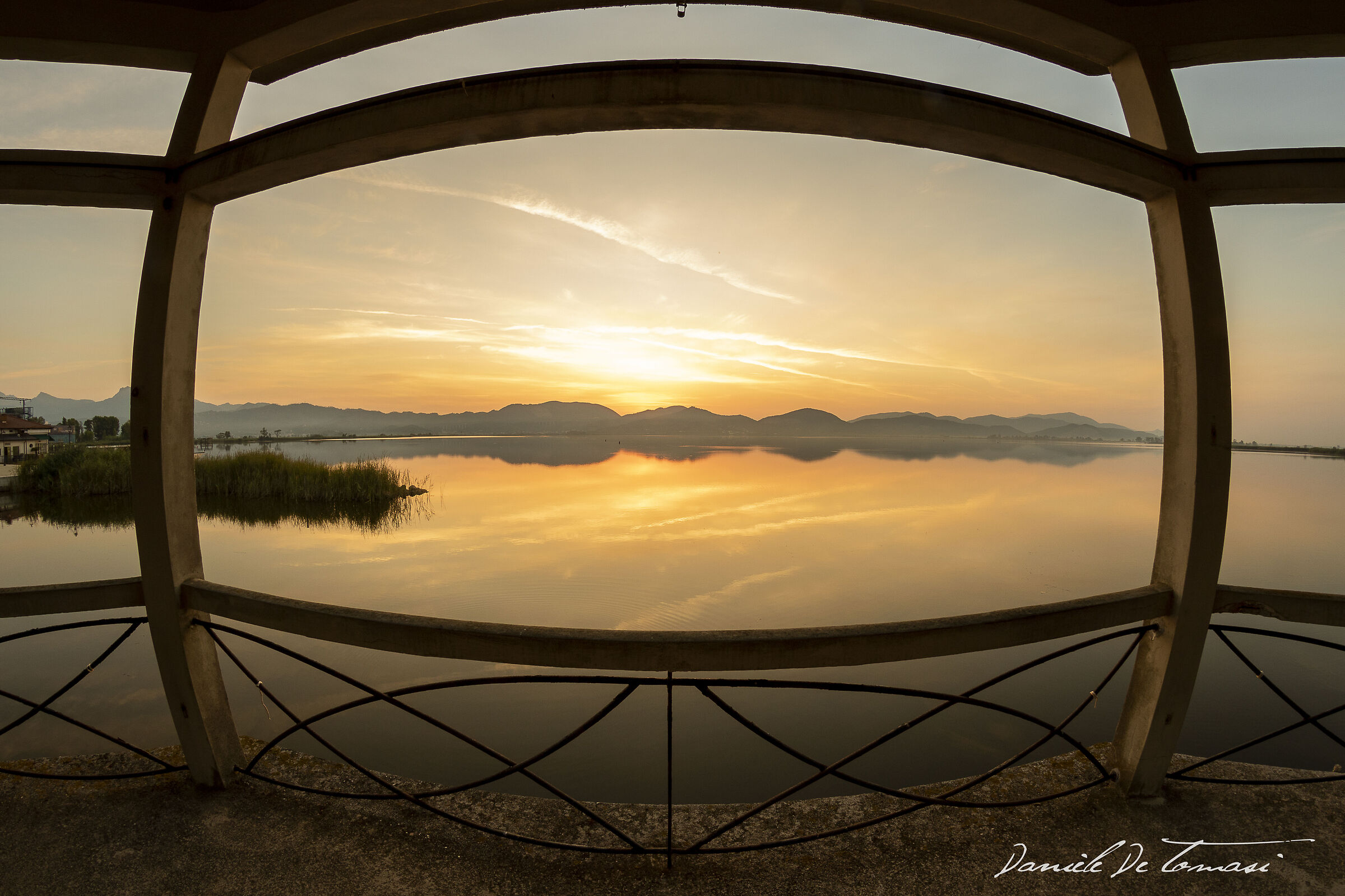 Alba fish eye