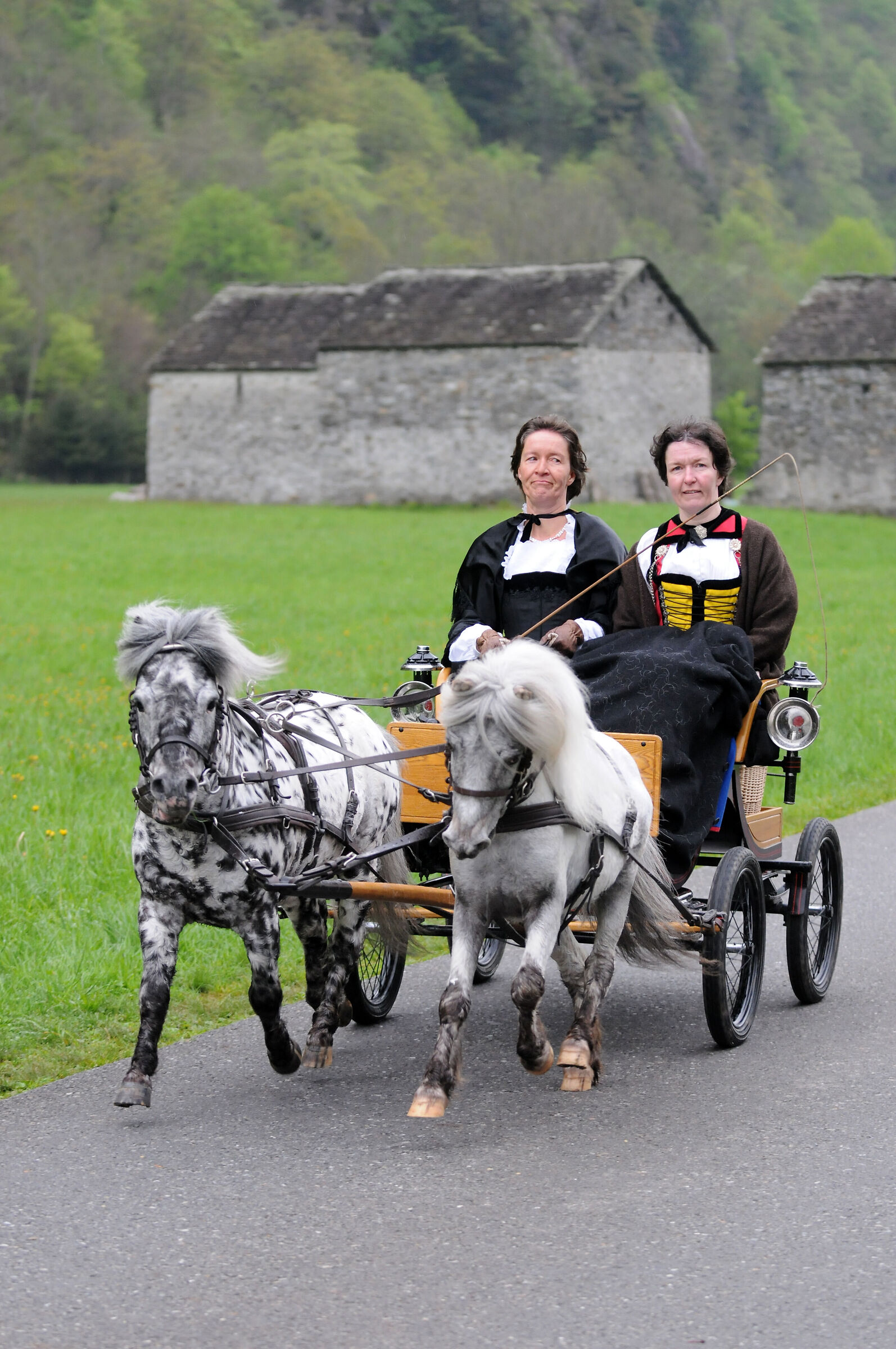 International Attack Competition