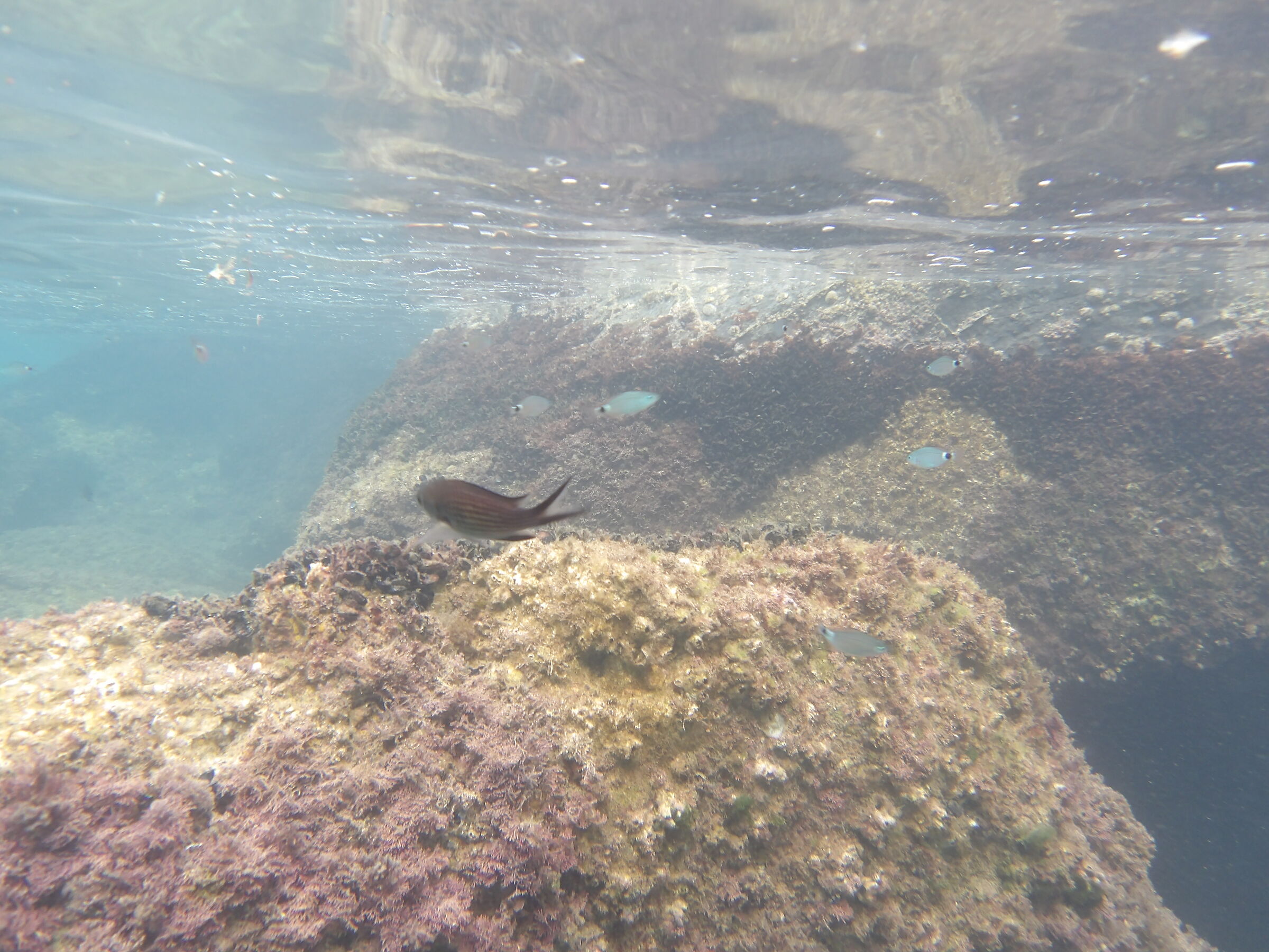 Cosa c'è sotto, Lerici Spiaggia della Marinella