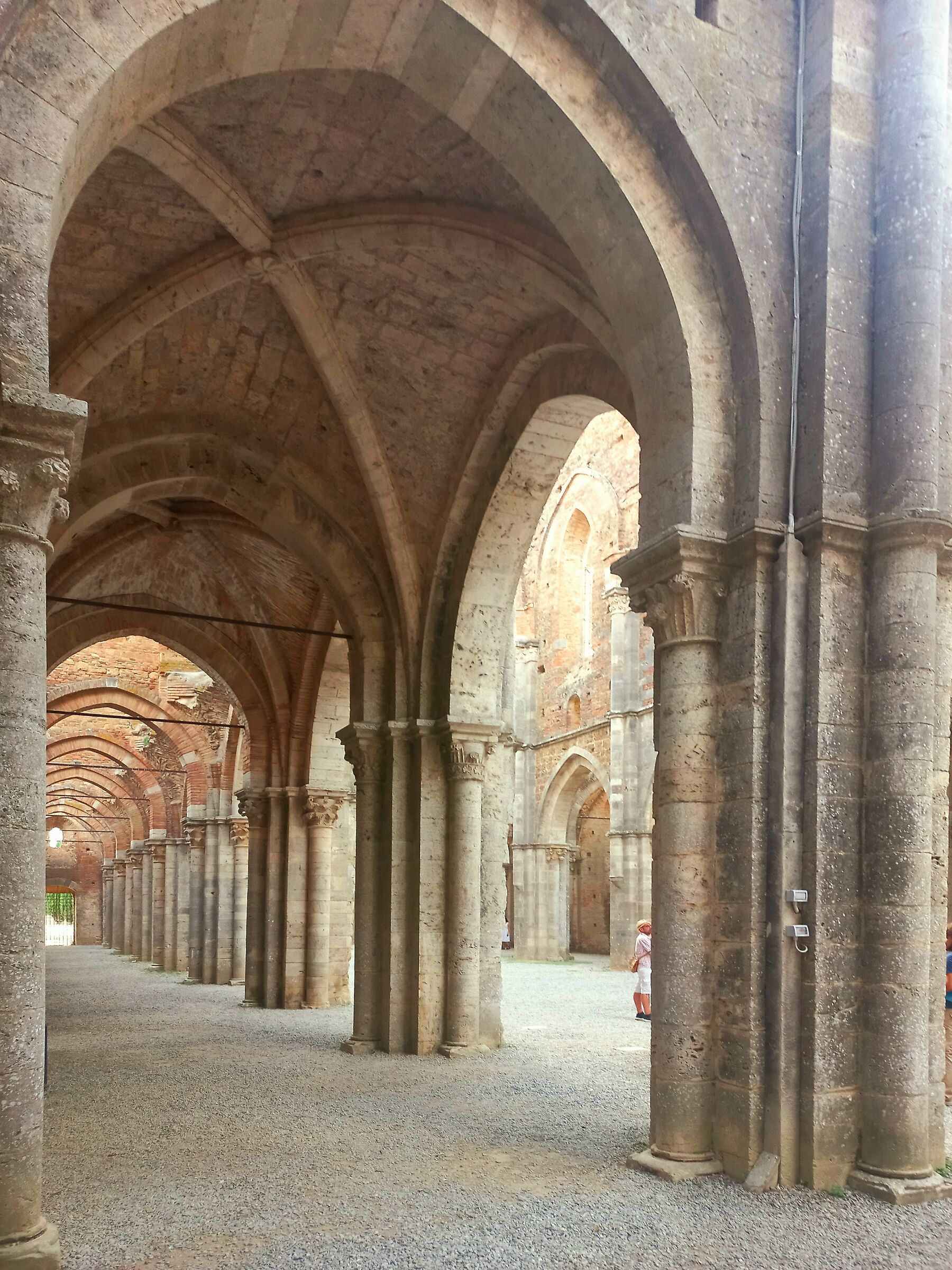 Prospettiva di San Galgano