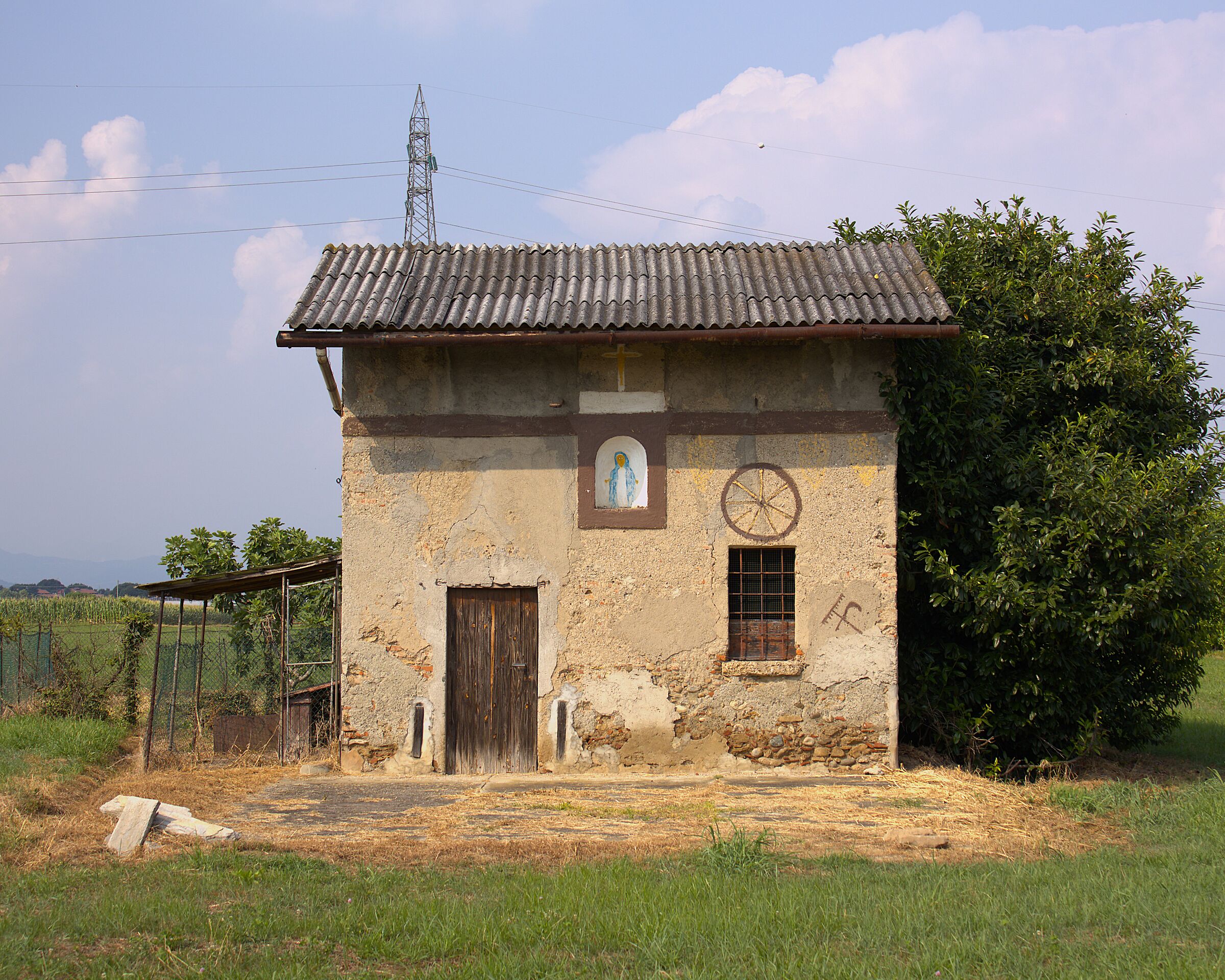 The Painted House