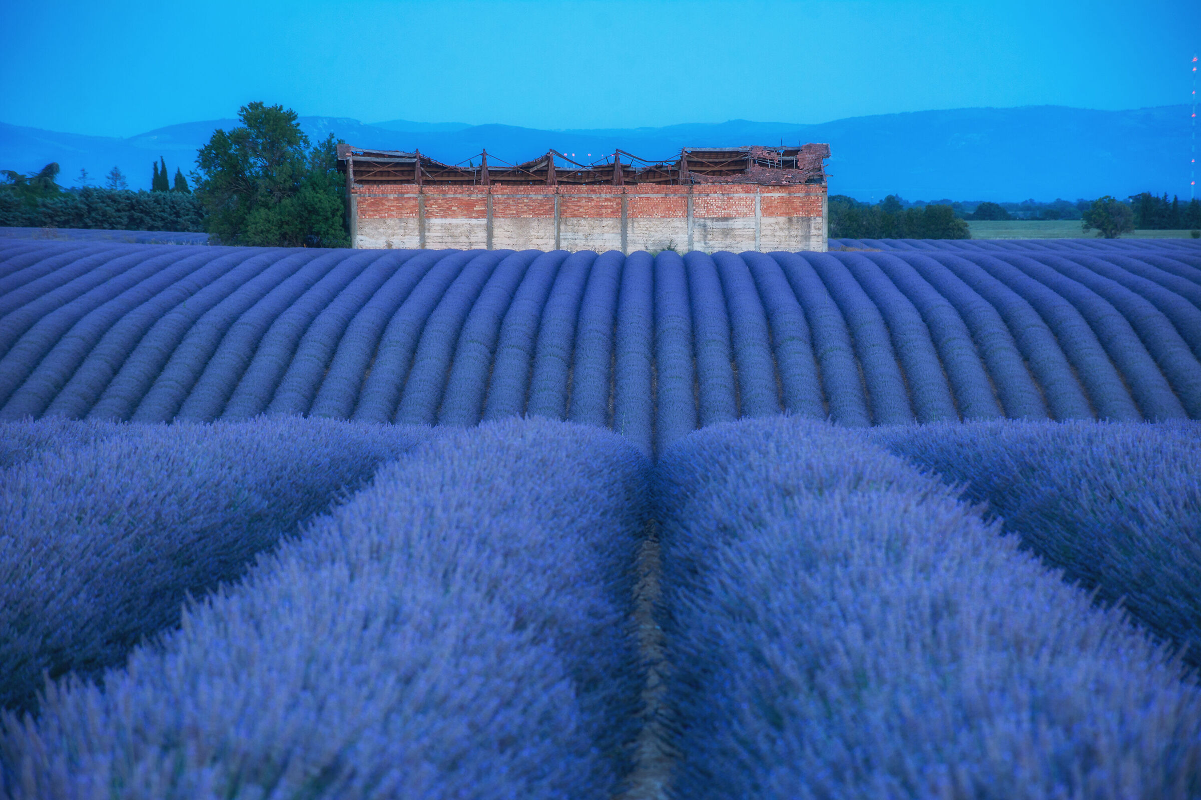 Un sogno chiamato Valensole