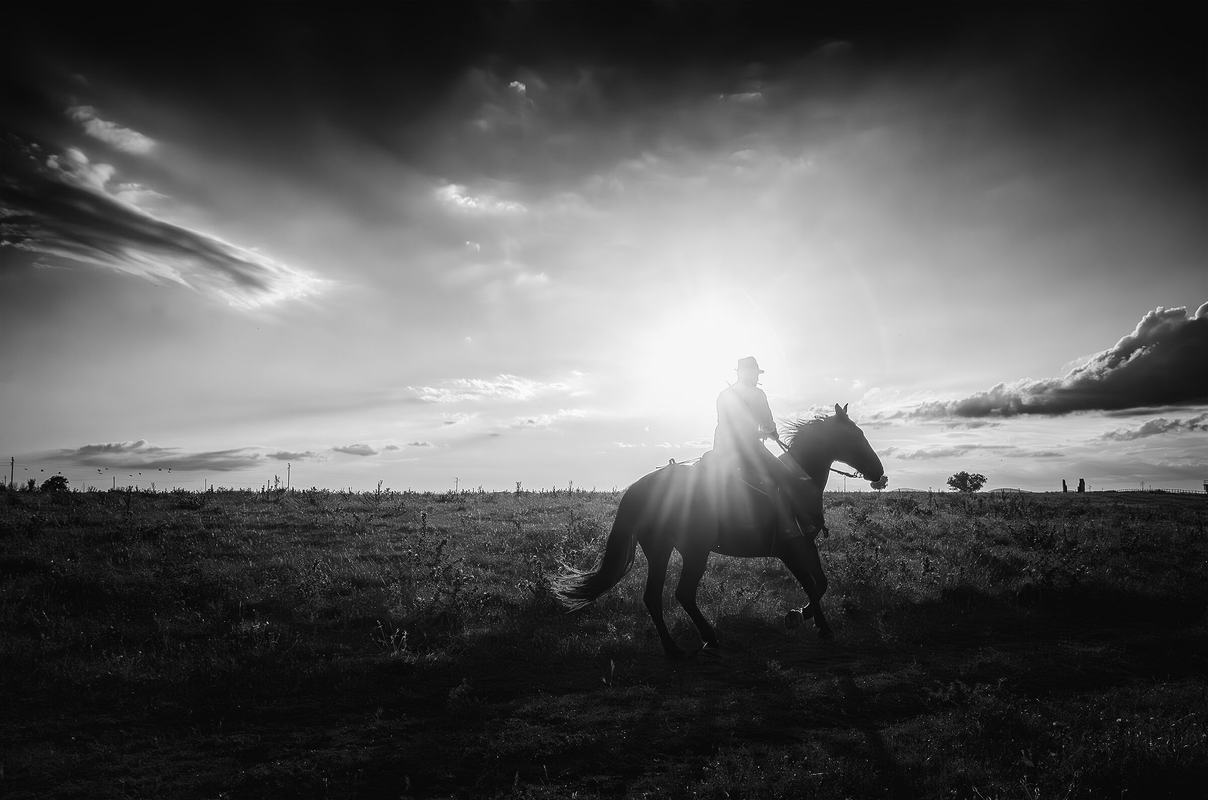 My Countryside n° 44