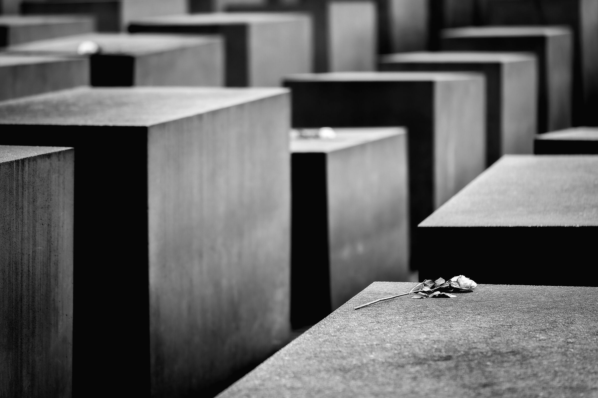 Victims of the History