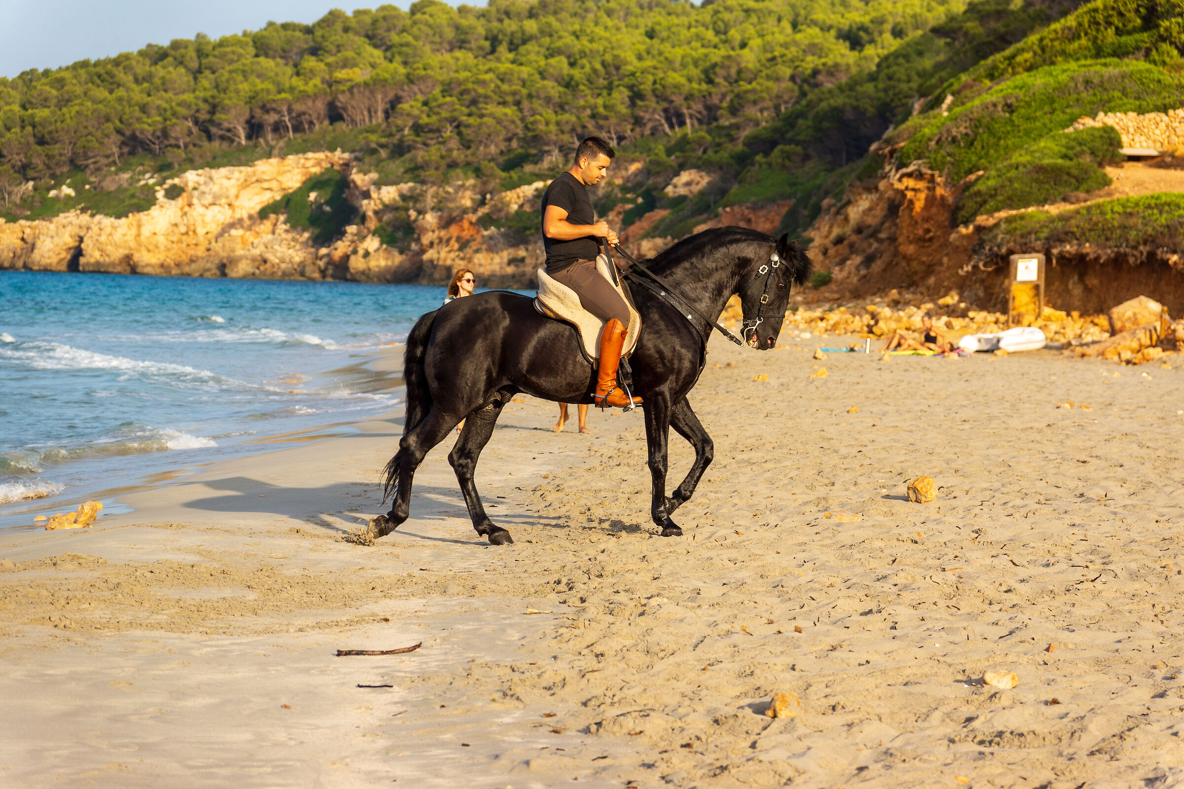 Cavallo Minorchino in spiaggia a Minorca