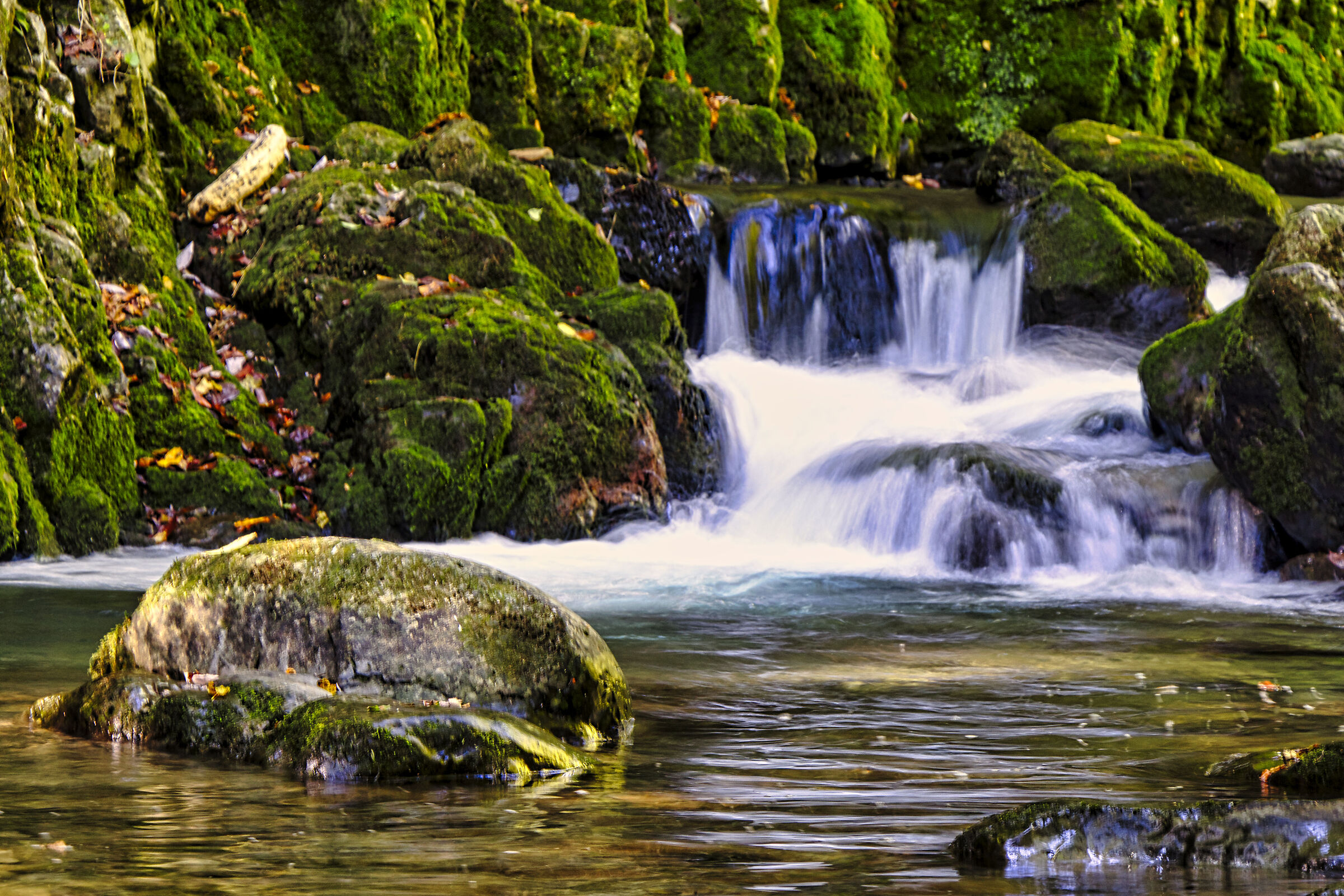 Source of the enna