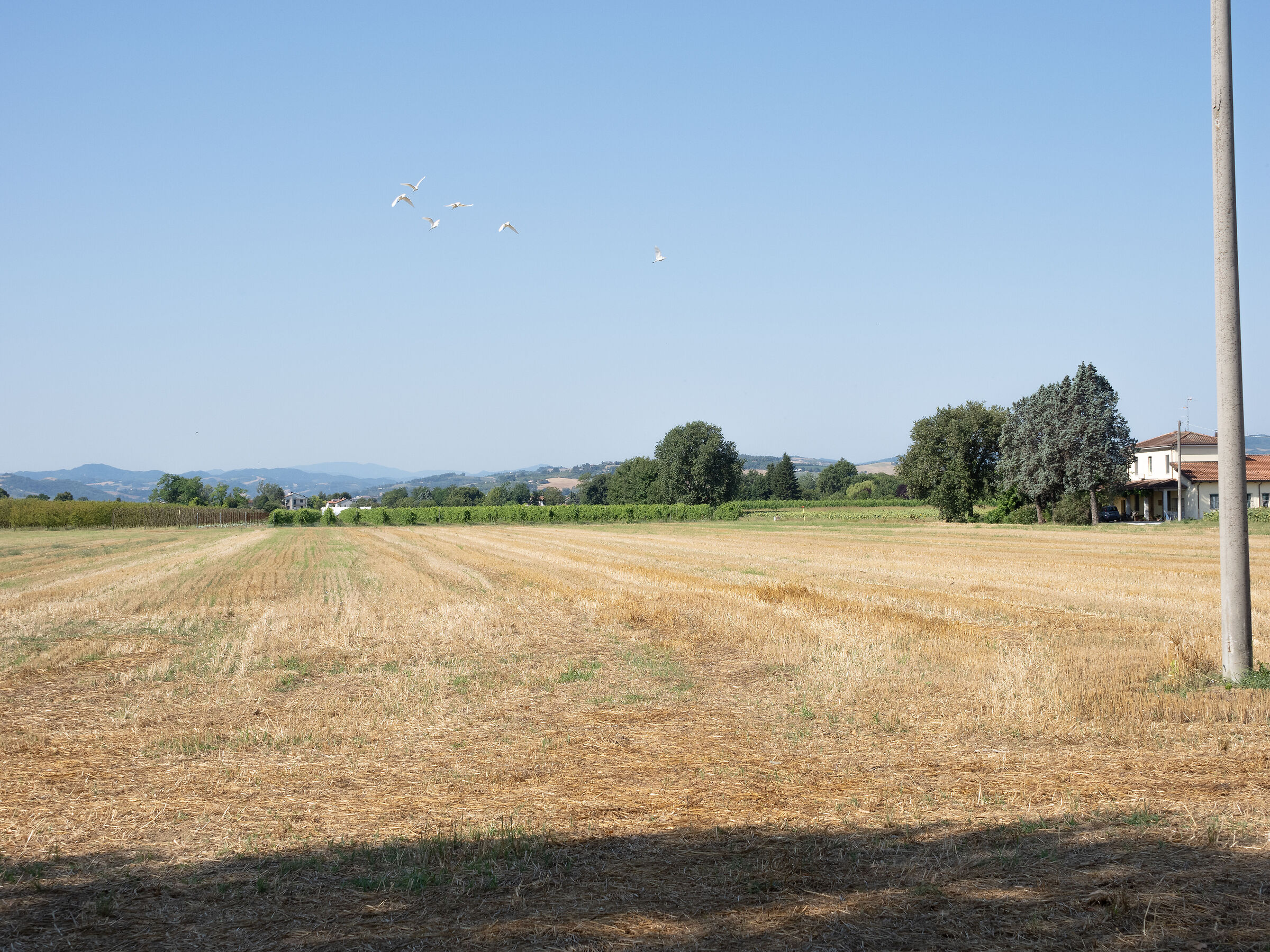 Landscape from the Via Emilia