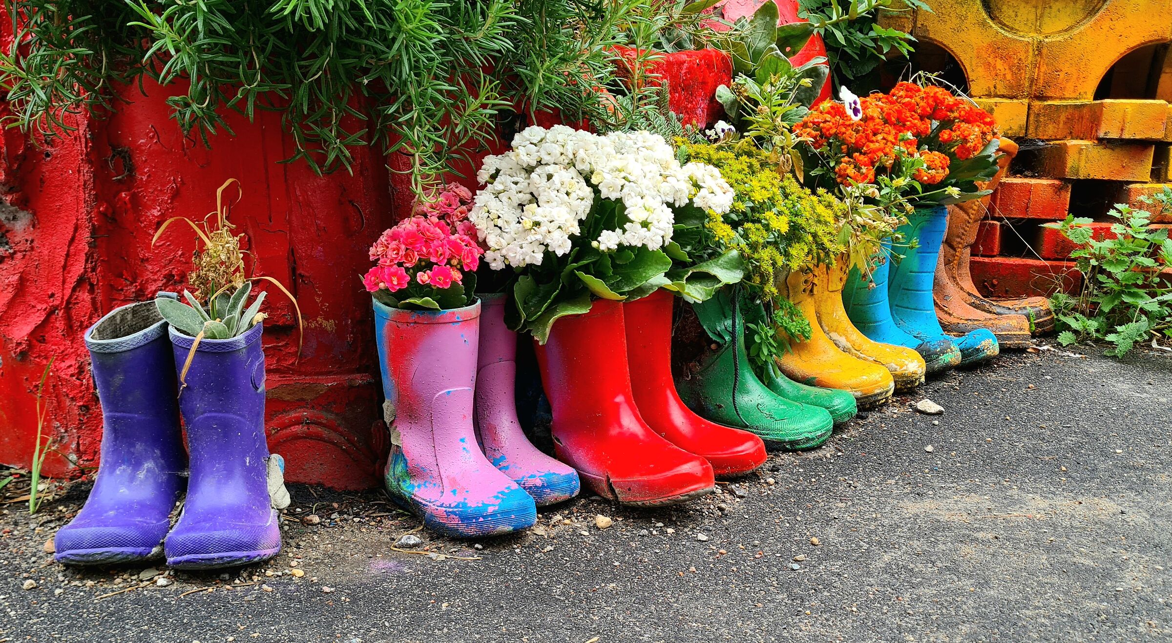 Stivali colorati - Christiania