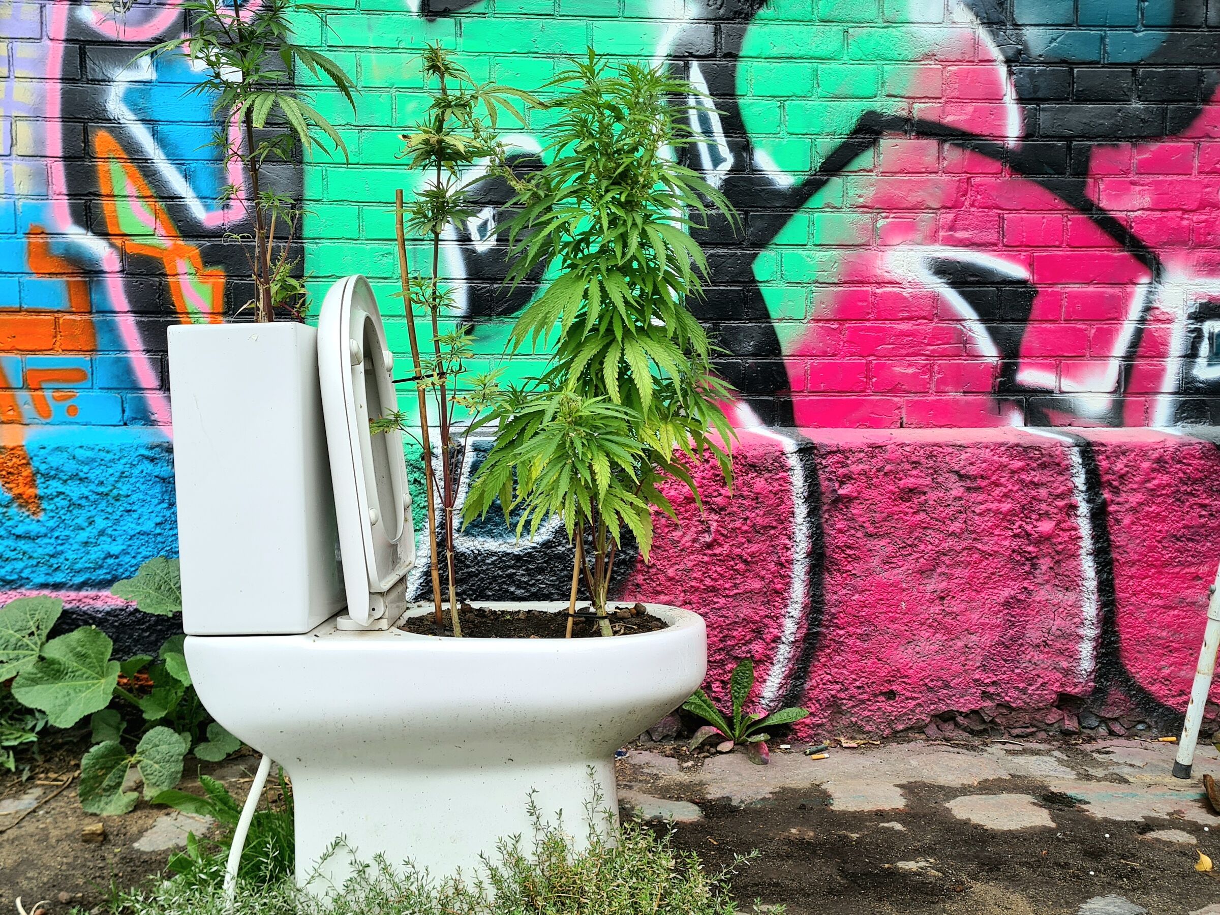 WC - Maria - Christiania