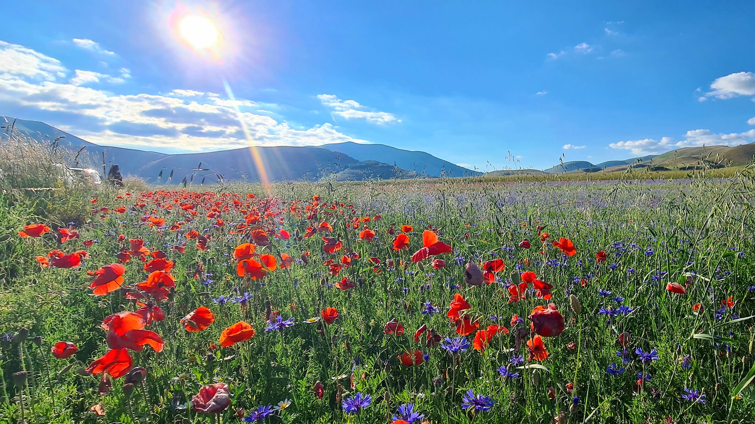 Piana Castelluccio di Norcia