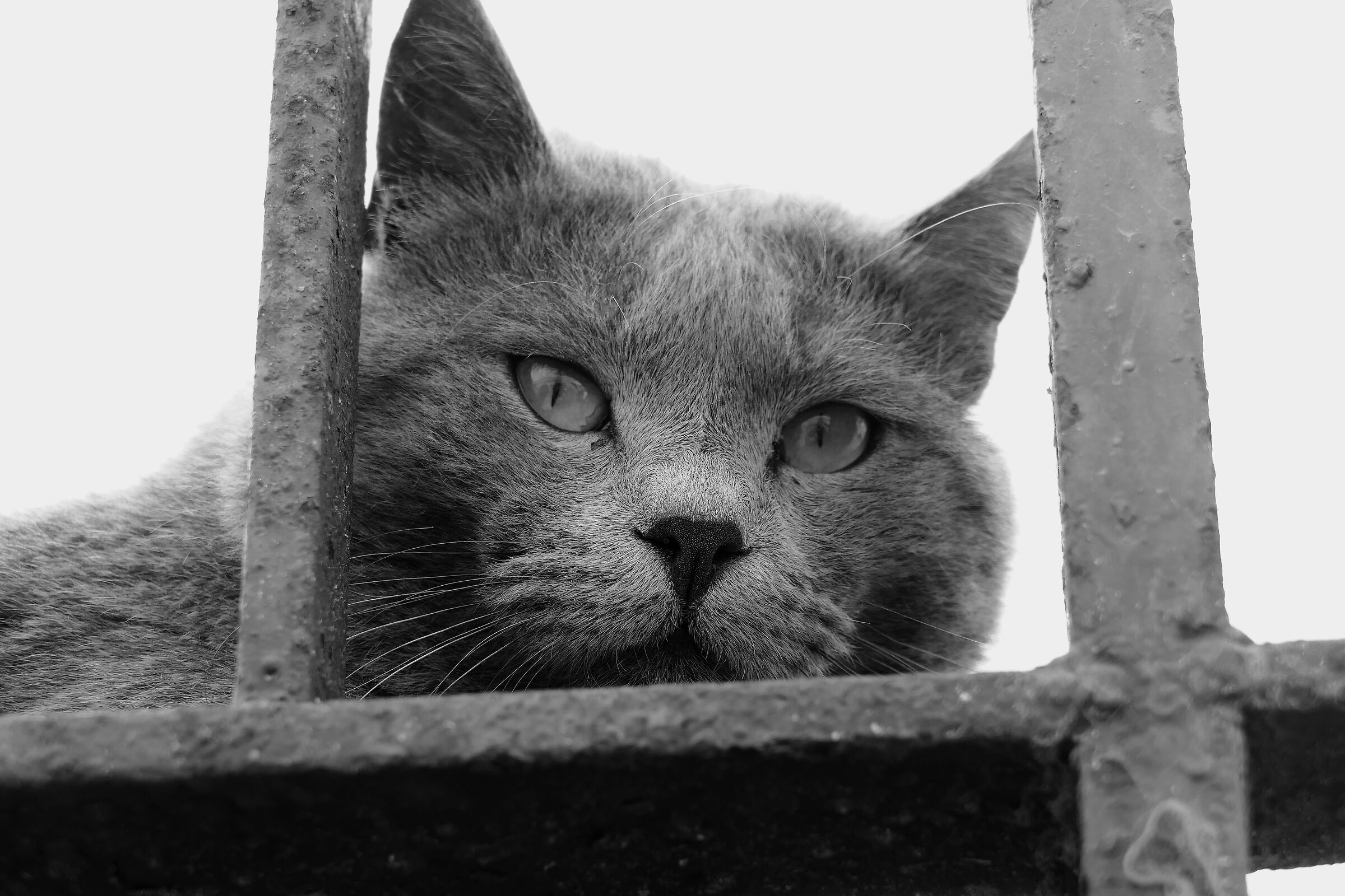 Untitled Photo