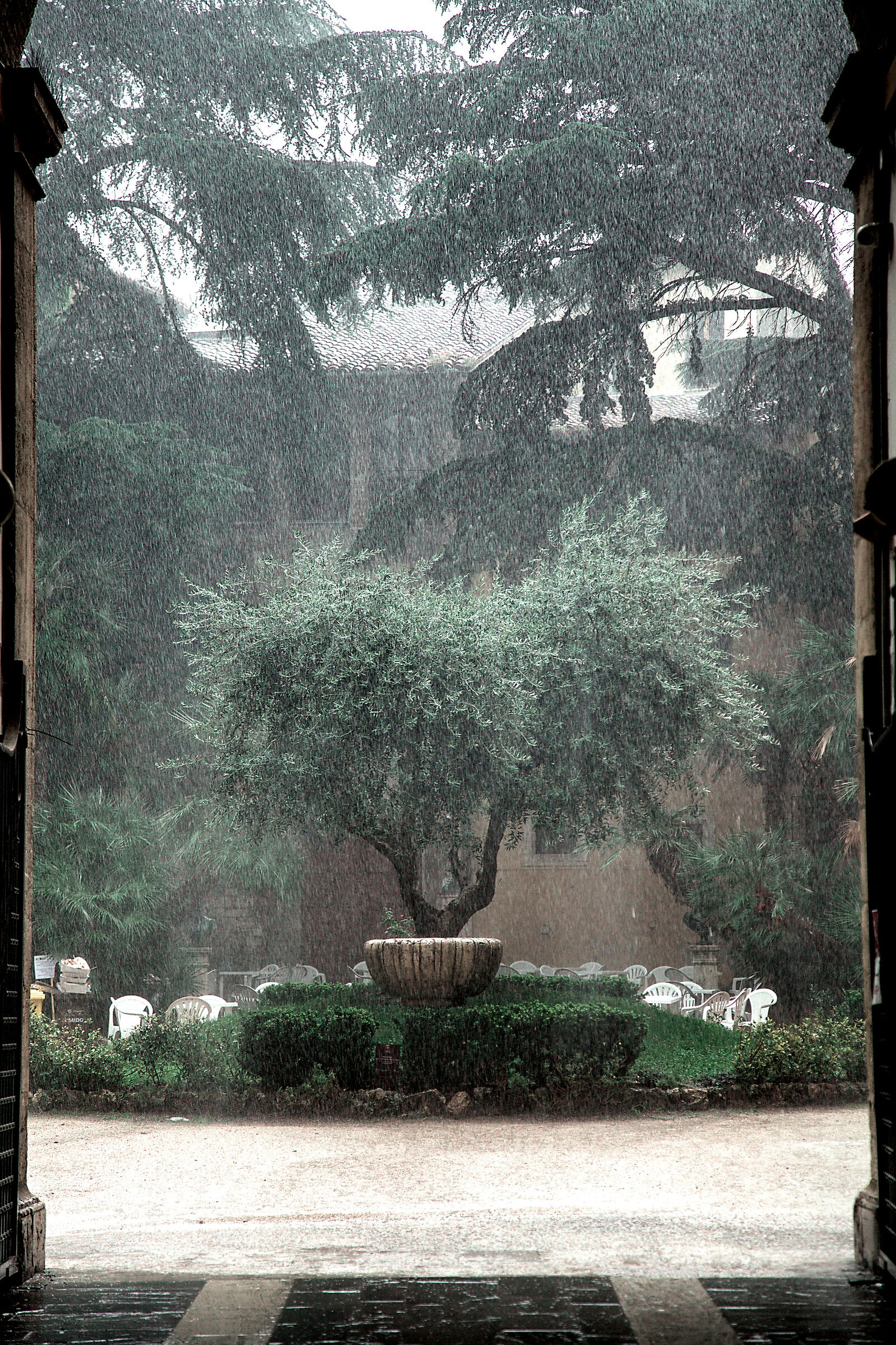 In the rain